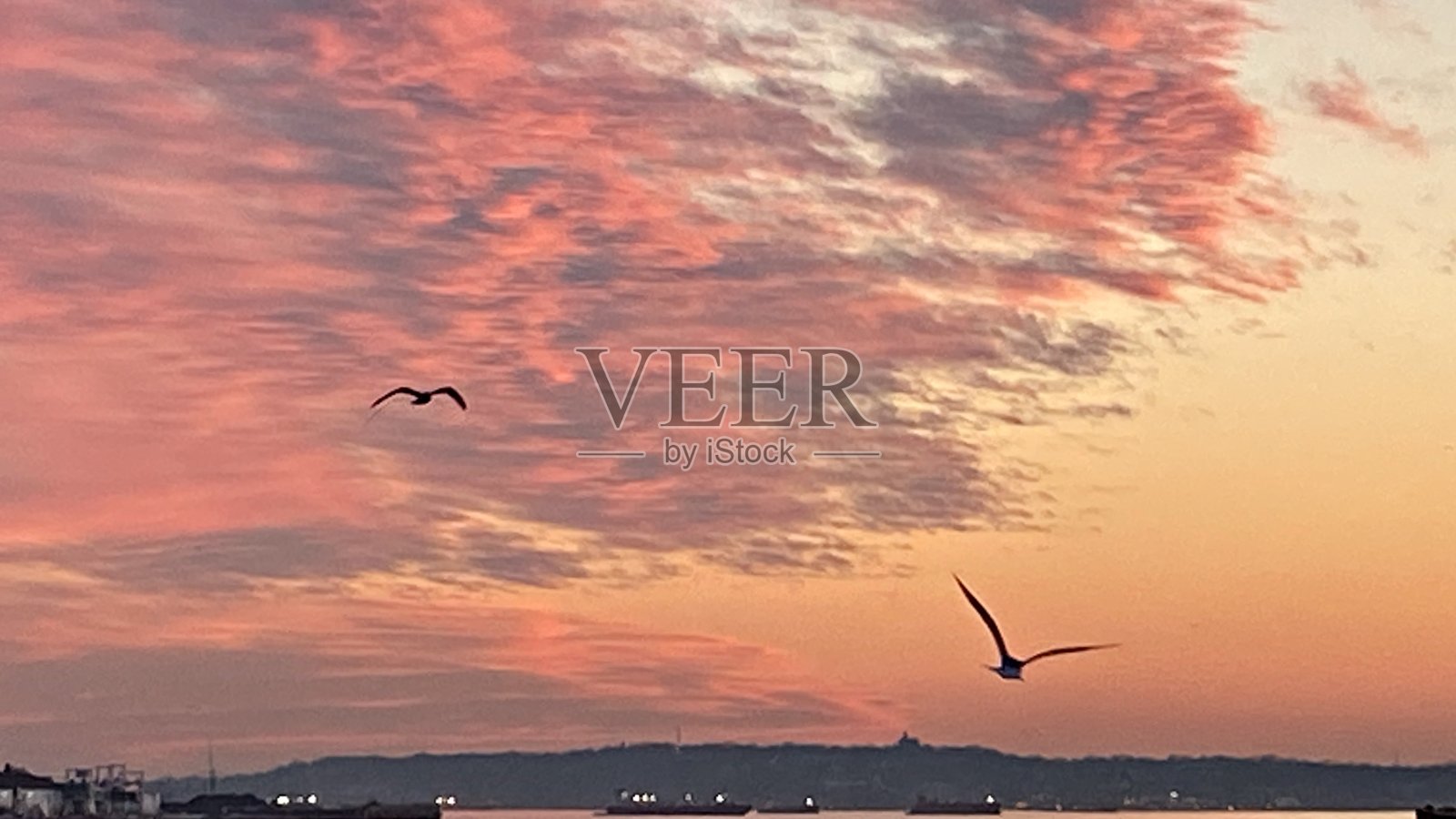 纽约港的日落照片摄影图片