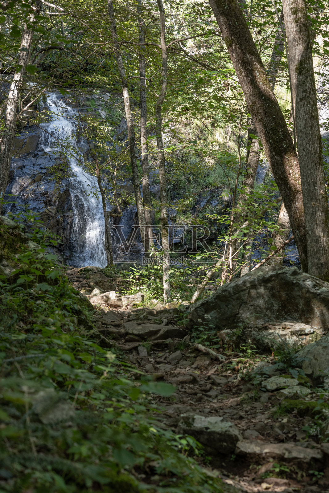 琼斯跑在一个上坡路的顶端照片摄影图片