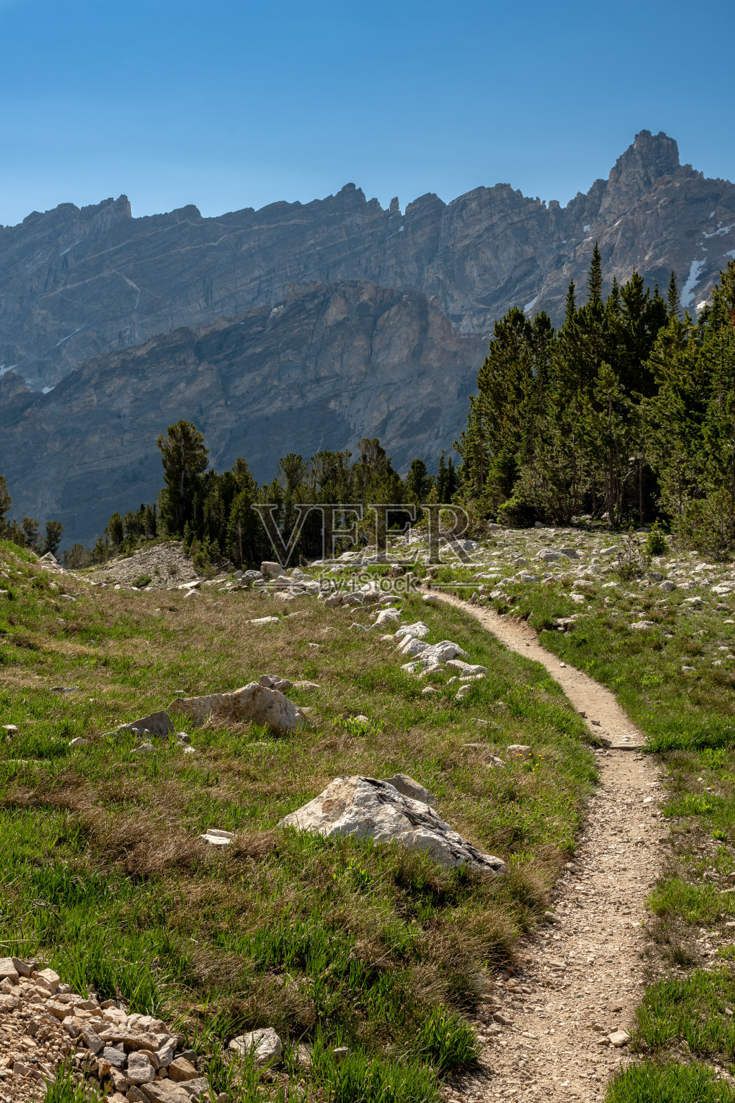 狭窄的小径穿过草地，可以看到提顿山脉照片摄影图片