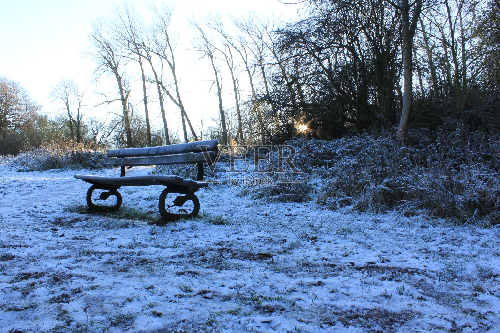 雪公园照片摄影图片