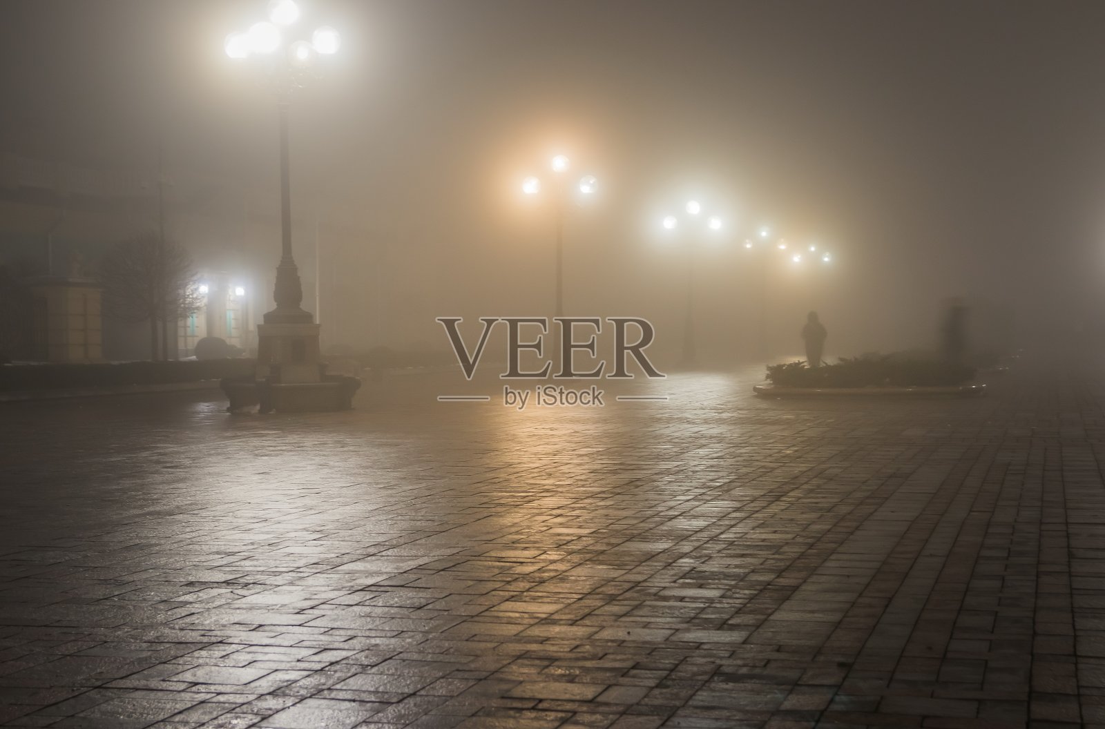 一个夜晚的冬天公园的主要小巷在雾中。在一个神话般的冬季城市公园的人行道上，在夜晚的雾中有长凳和灯笼。马林斯基公园美丽的雾天夜晚。基辅,乌克兰。照片摄影图片