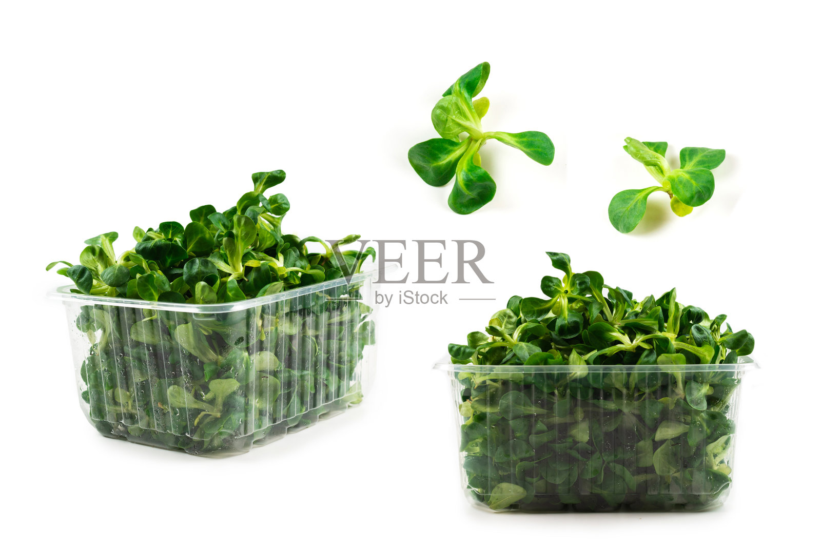 白色背景上的土豆泥沙拉。照片摄影图片