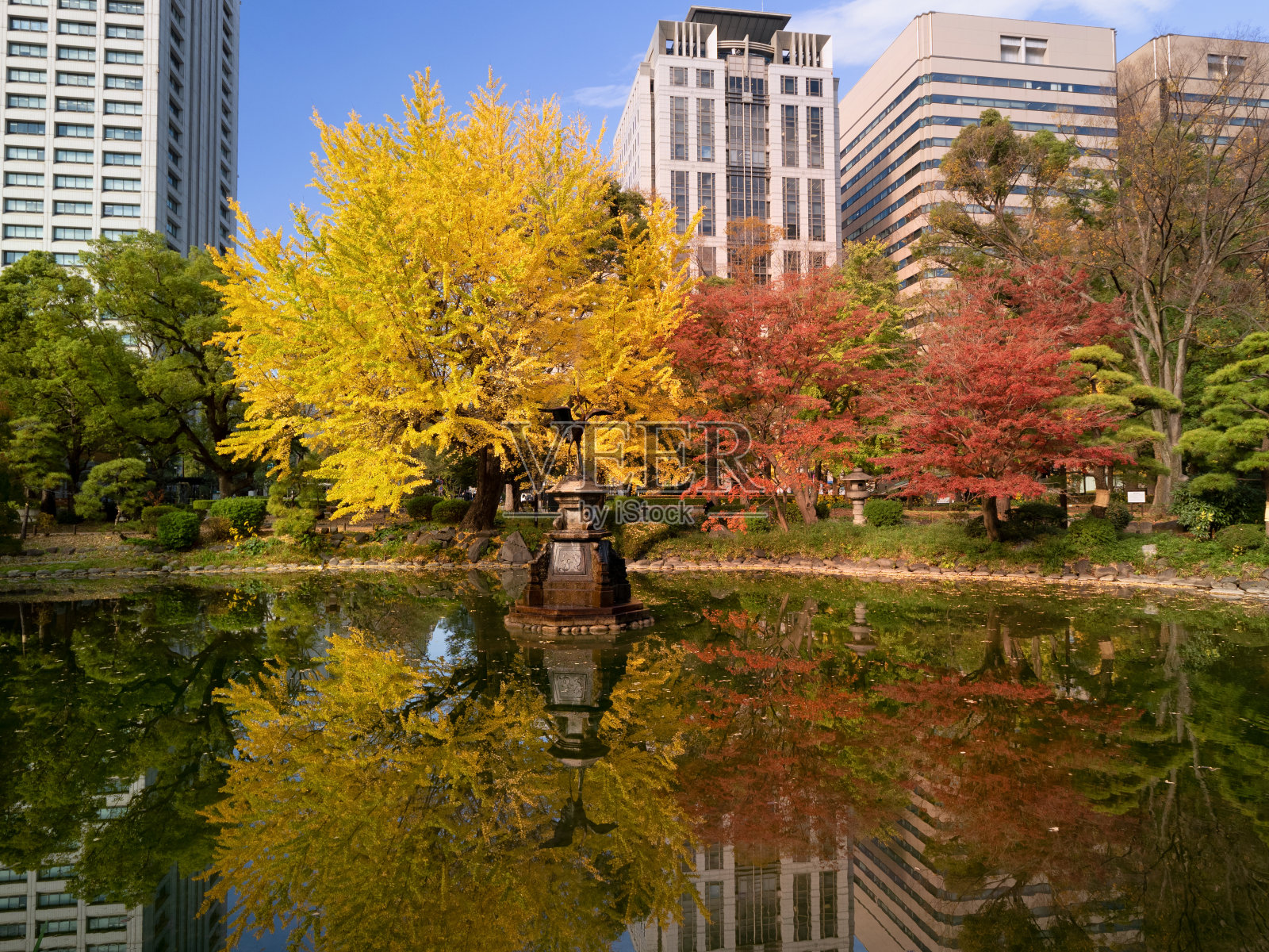 东京日比谷公园的秋叶照片摄影图片