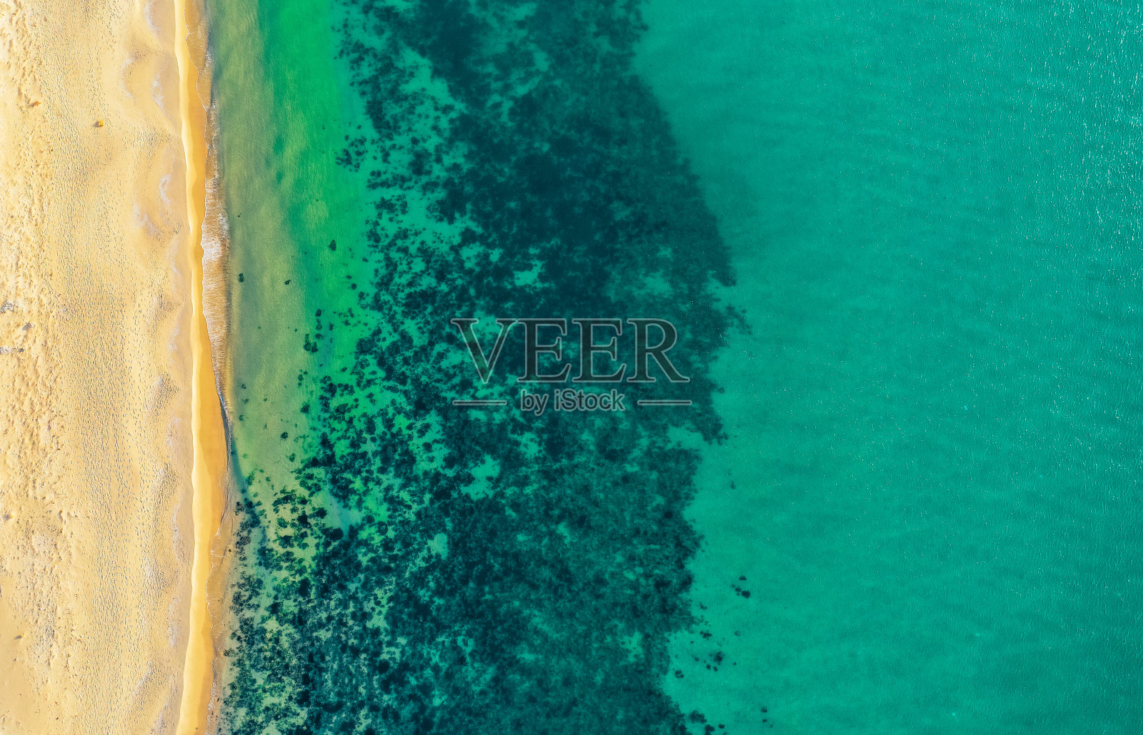 海岸线，俯瞰，海滩背景。海洋表面的海岸，海草在水面上。沙滩上的脚印。照片摄影图片