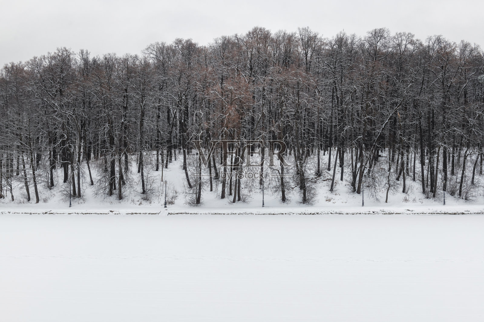 美丽的冬季景观在冬季公园。照片摄影图片