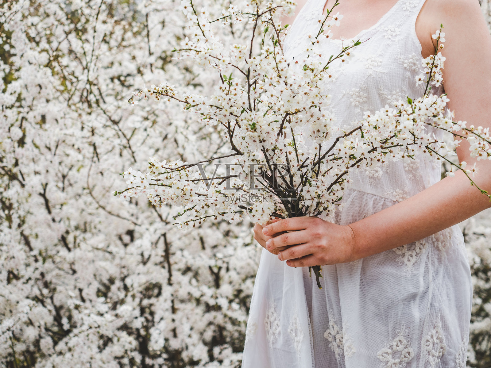 花树背景上的可爱女人照片摄影图片