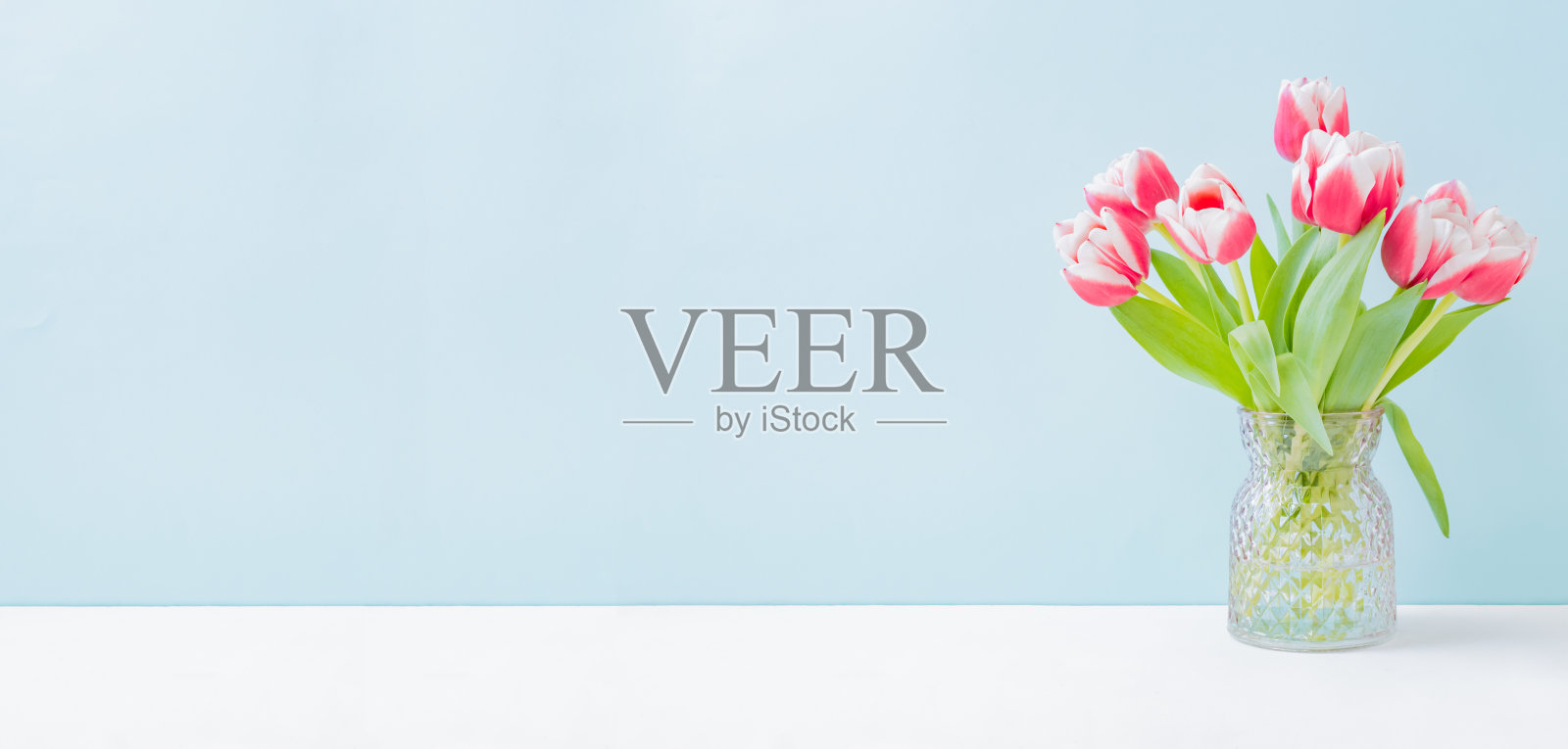 家庭内部装饰元素。浅色背景上花瓶里的粉色郁金香照片摄影图片