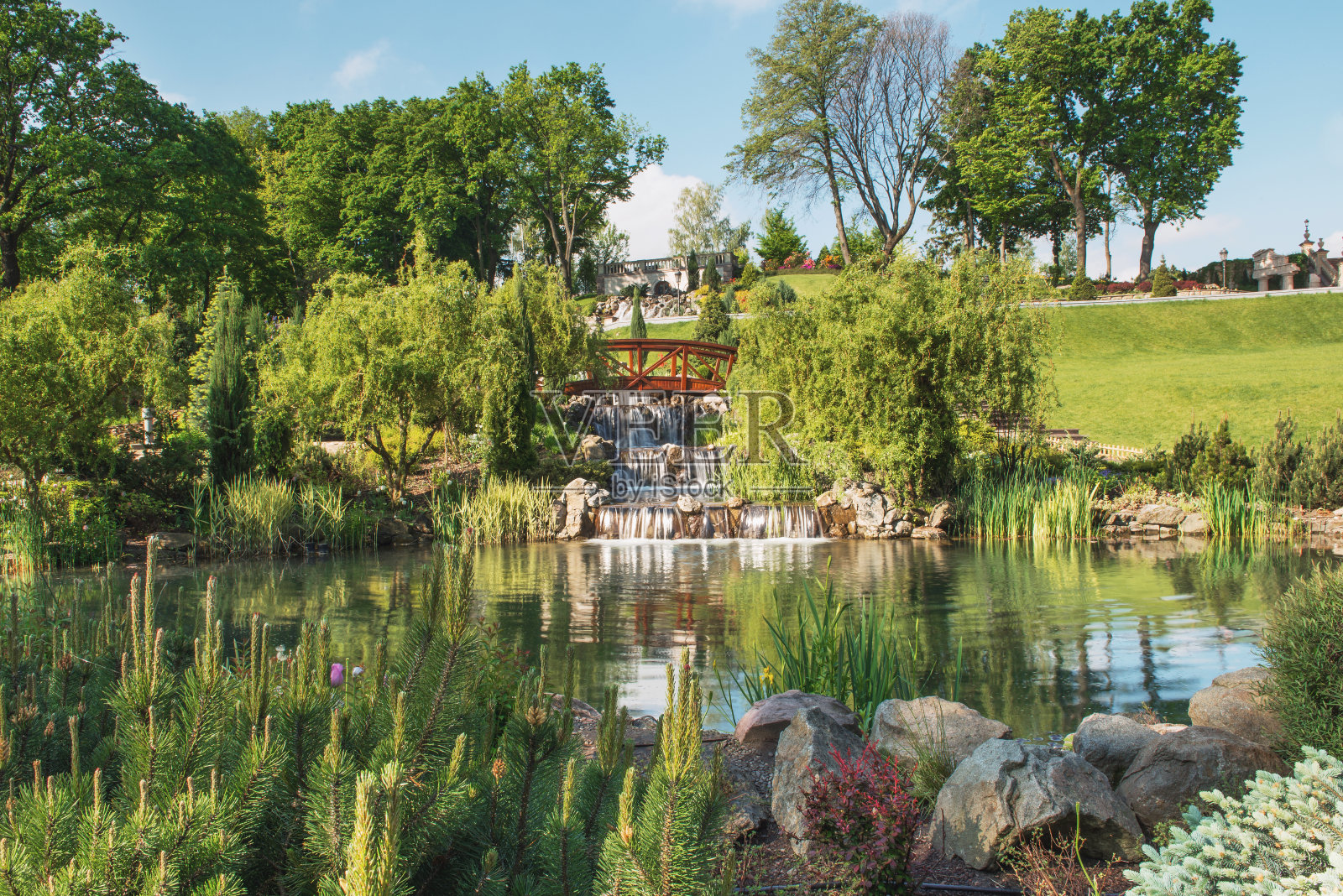 乌克兰基辅附近的Mezhyhirya景观公园的一个湖的碎片。照片摄影图片