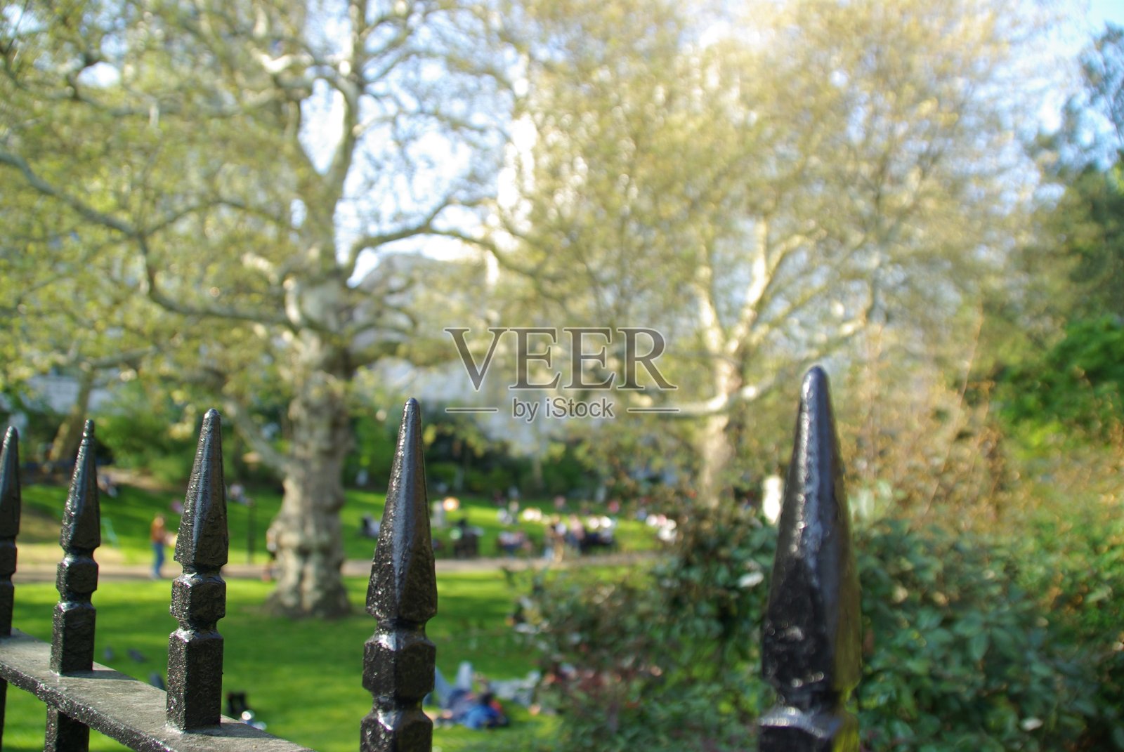 公园的栅栏照片摄影图片