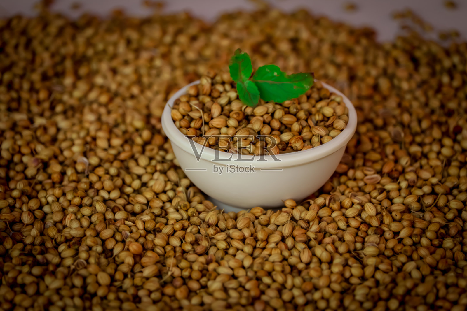 香菜籽放在一个大木碗里，香菜籽和木勺照片摄影图片