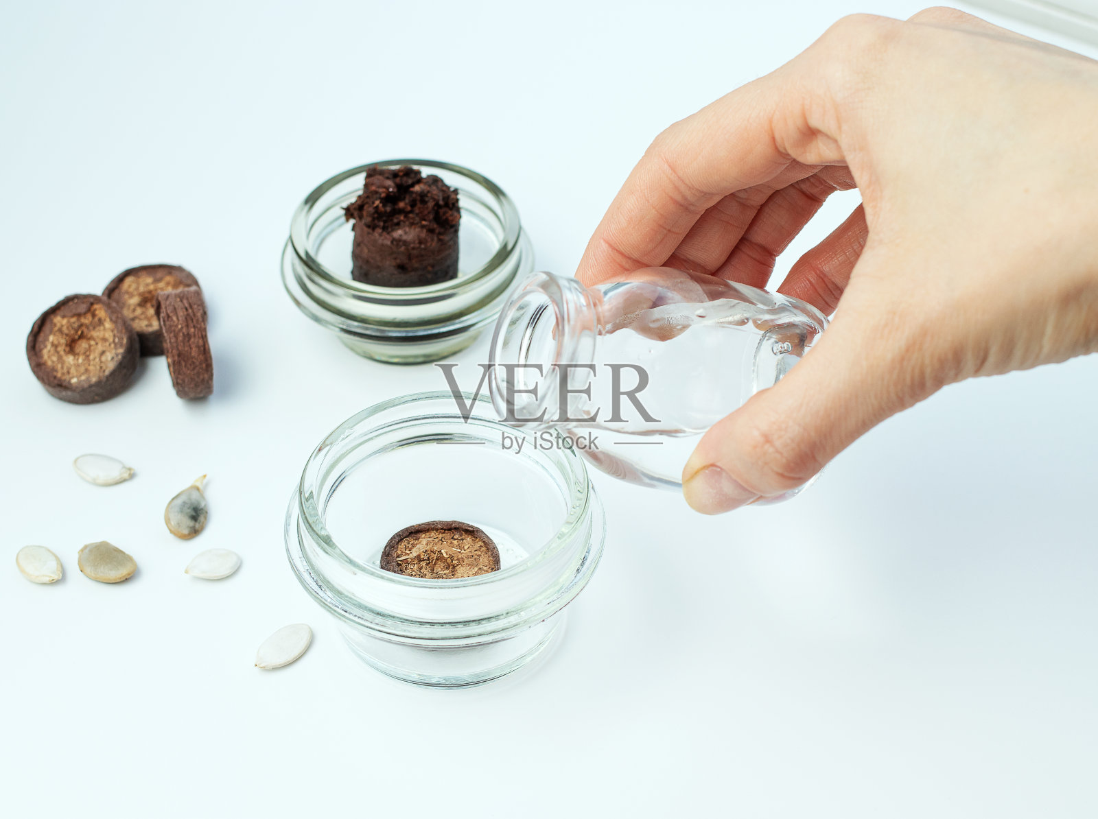 工具，压地育苗，种籽。园艺在家里。在家里种植植物。有选择性的重点照片摄影图片