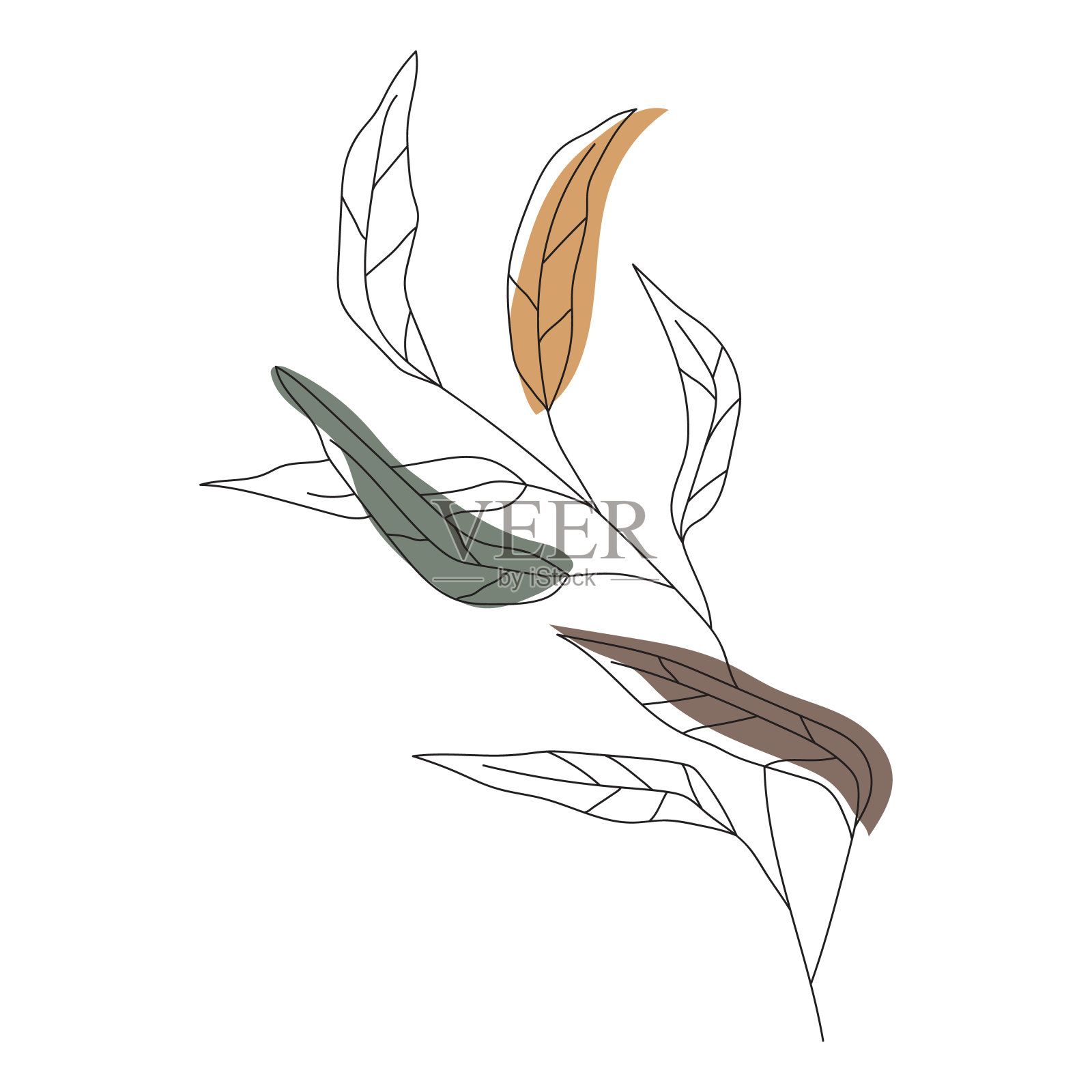 叶线的艺术。插画图片素材