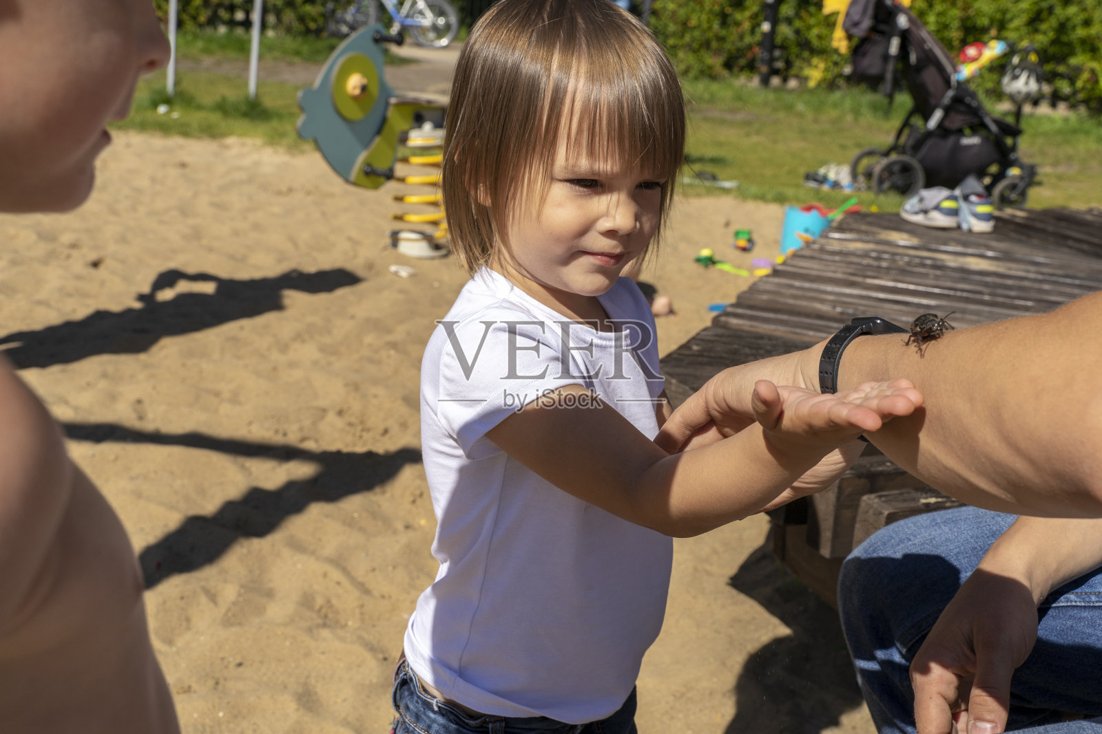 爸爸和孩子们在海滩上看一只虫子照片摄影图片