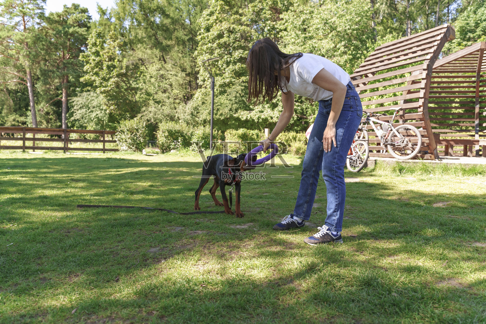 可爱的白人女人花时间与大豆狗杜宾户外照片摄影图片