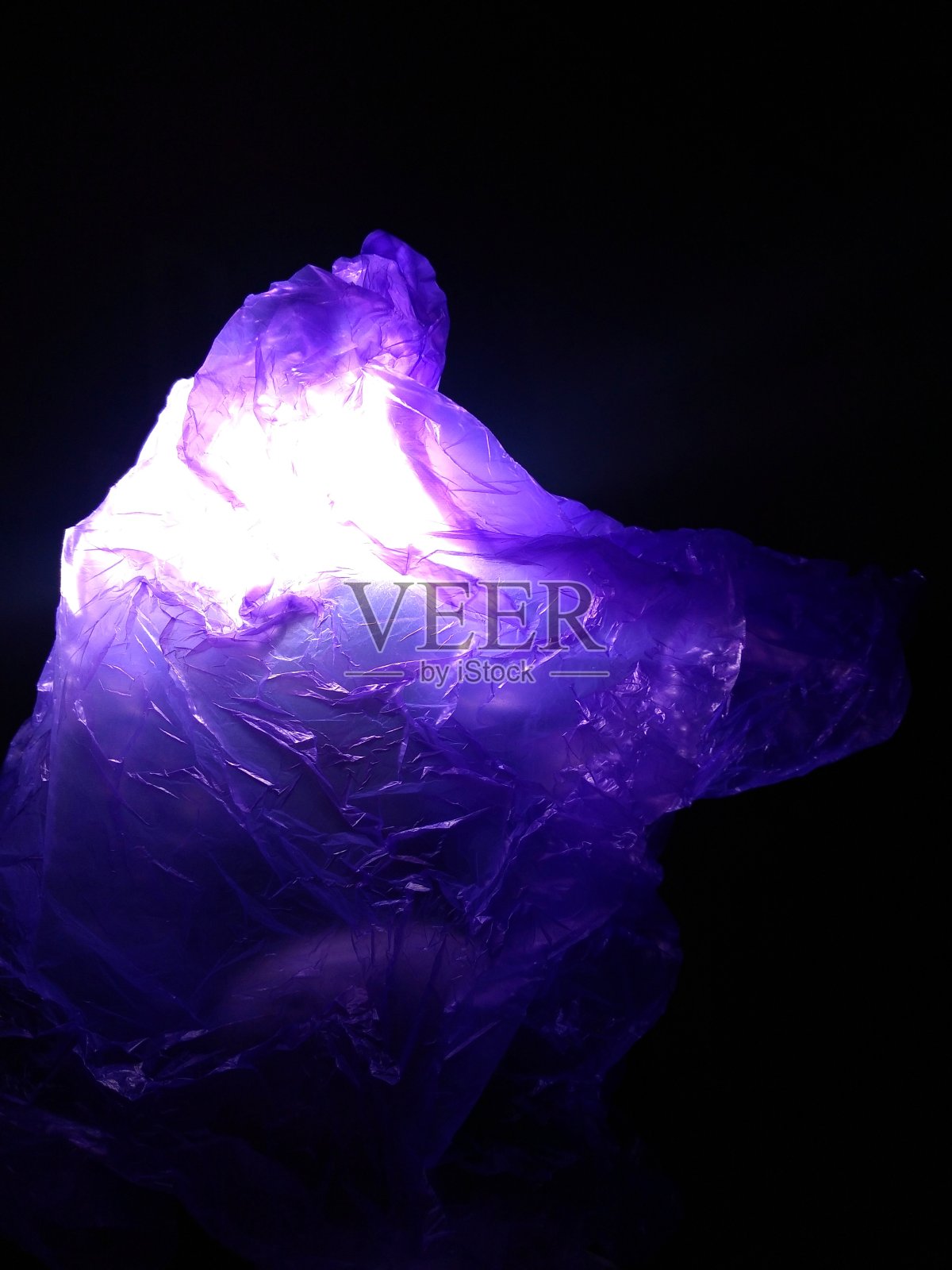 紫色的狗照片摄影图片