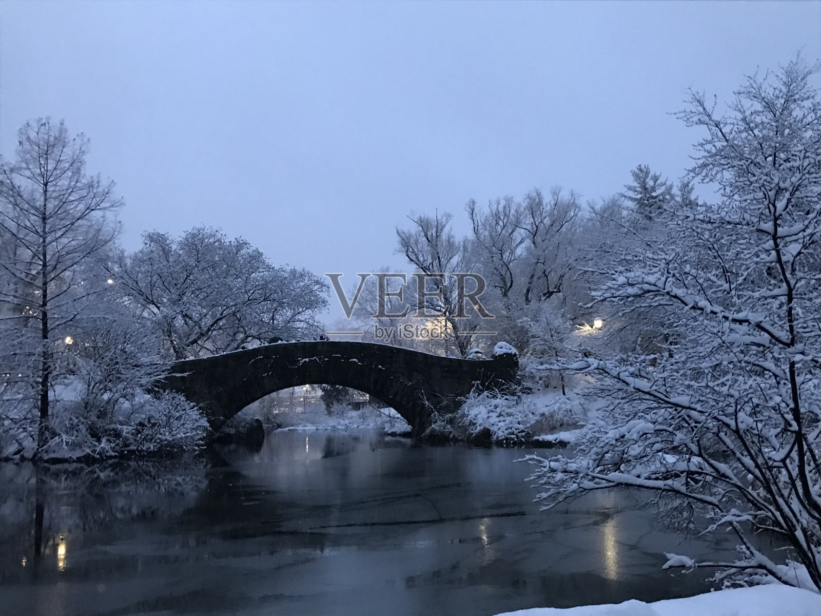 中央公园的雪照片摄影图片