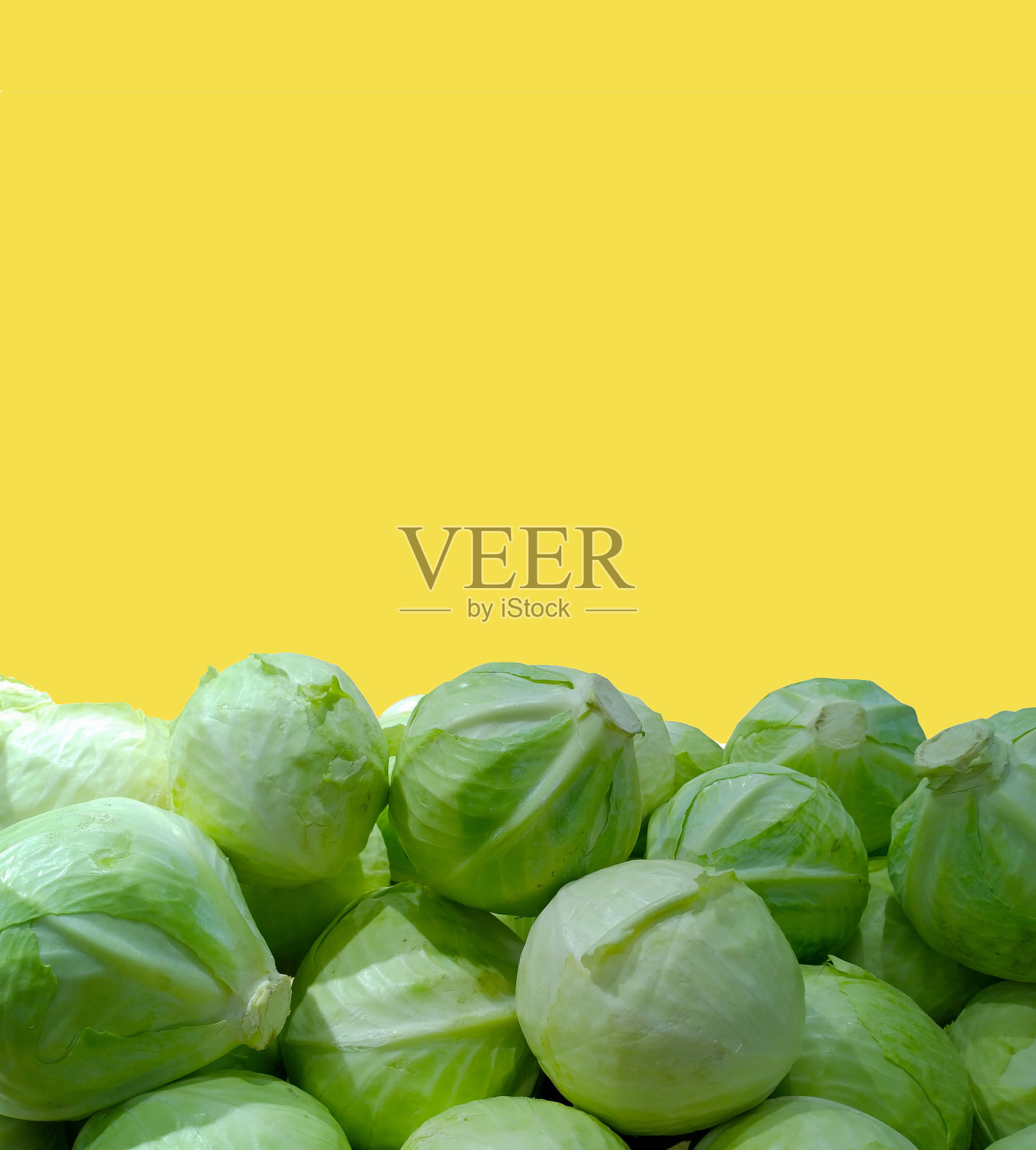 黄色背景上孤立着一堆卷心菜的旗帜。蔬菜的广告。食品杂货店购物。新鲜食品的背景。健康饮食。零售行业。副本的空间。折扣。商店。照片摄影图片