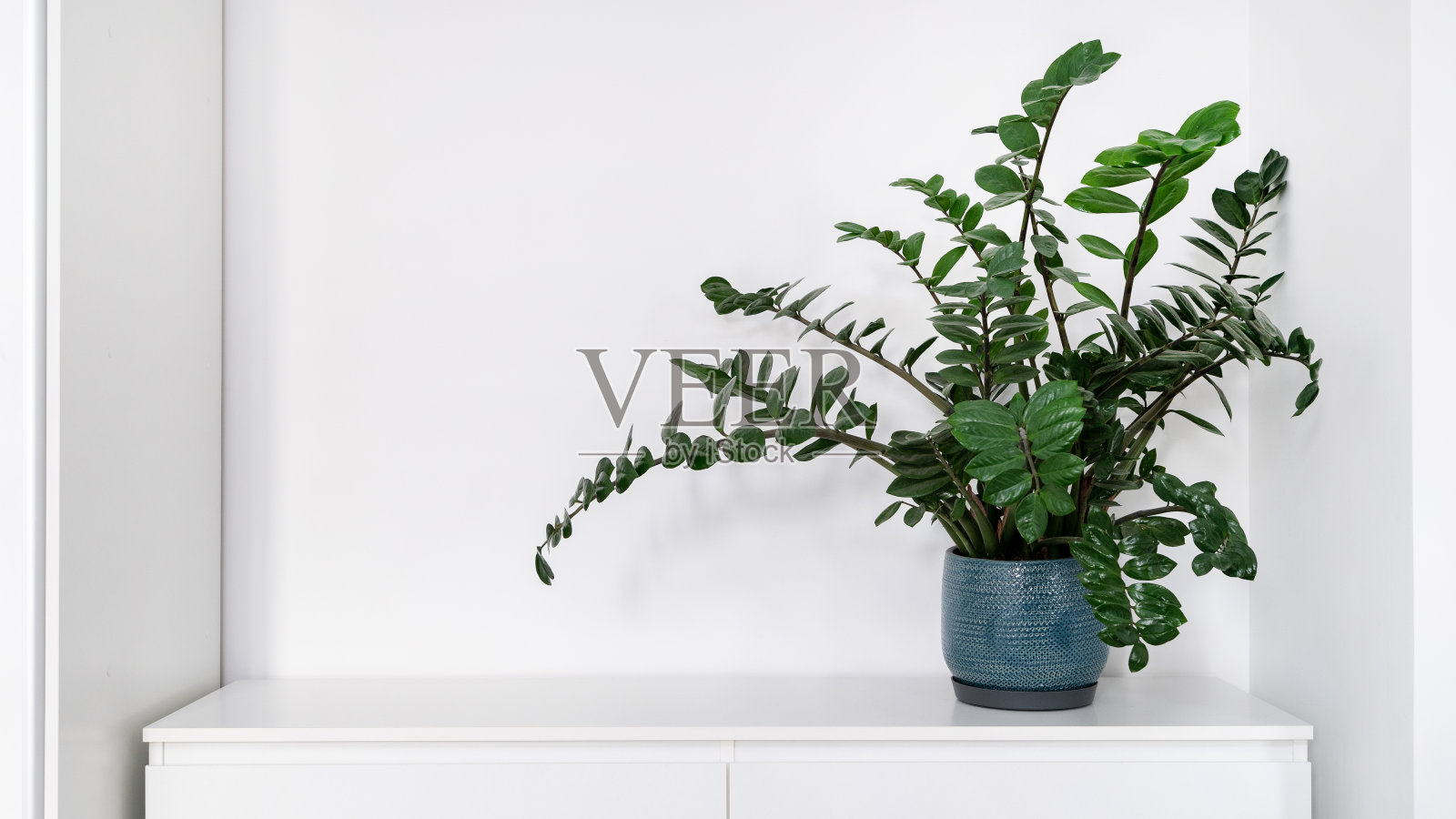 白色现代公寓的家居装饰物品照片摄影图片