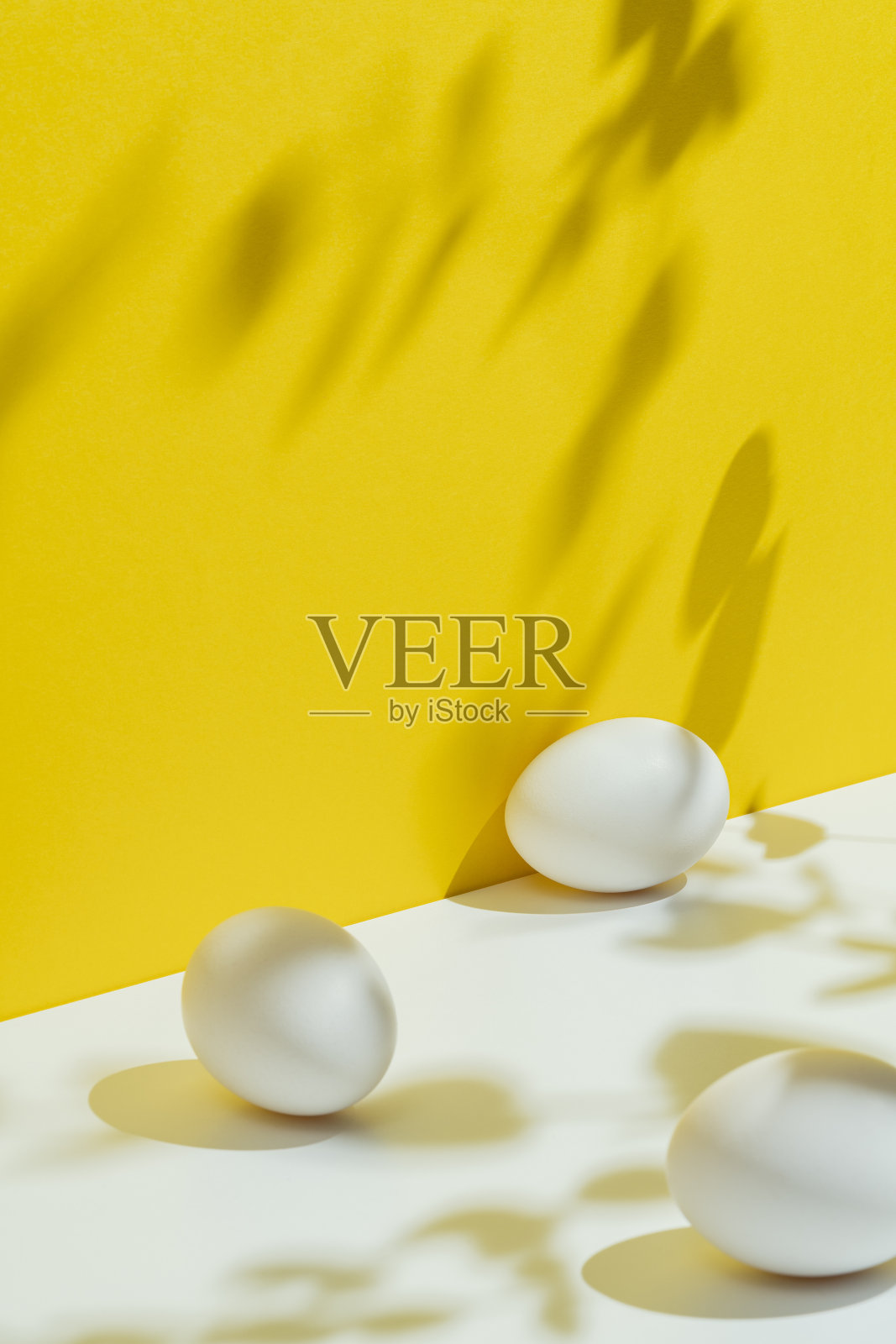 白色的鸡蛋，黄色和白色的背景照片摄影图片