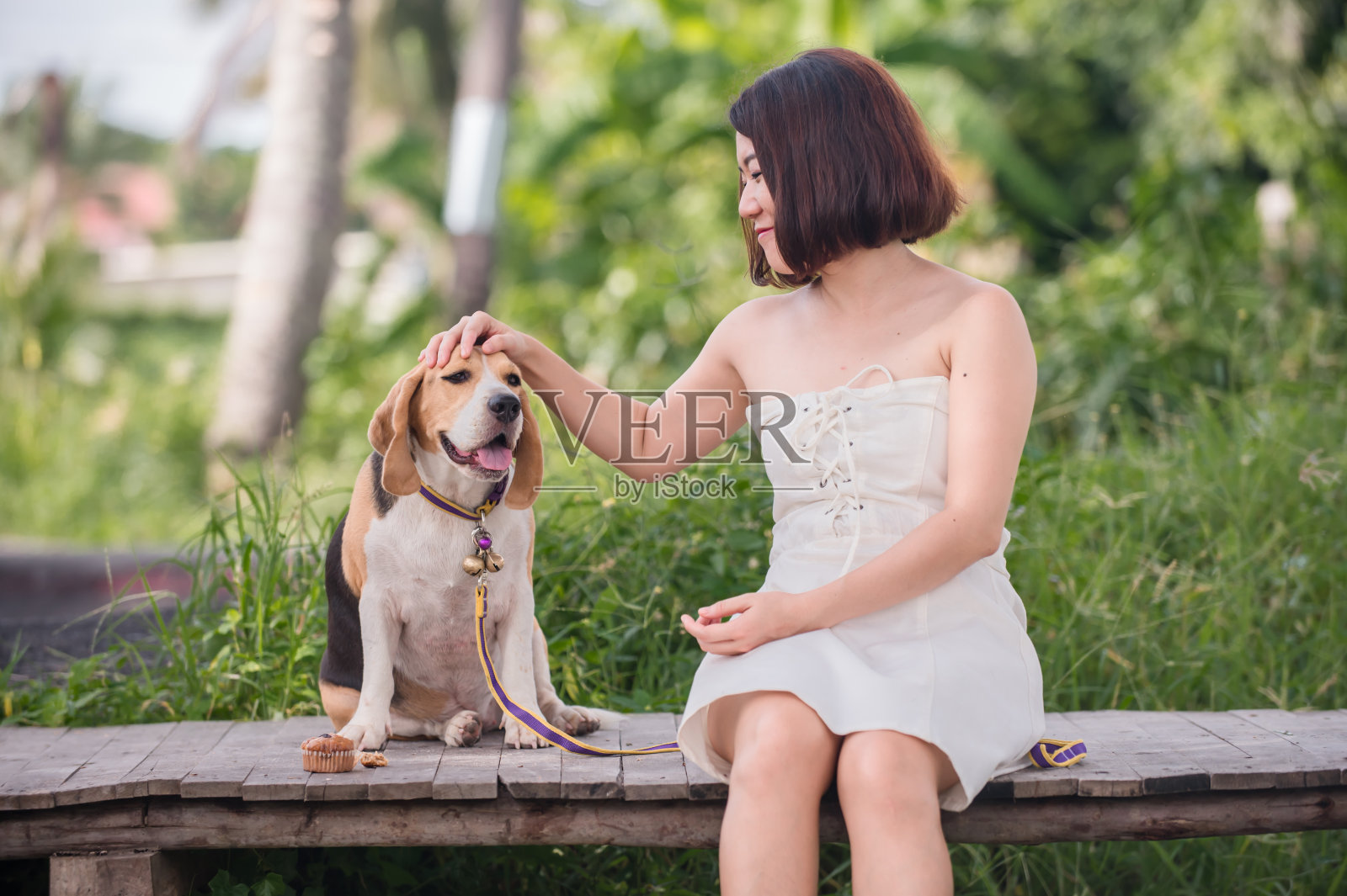 亚洲女人和狗。在自然公园独自进行户外生活。照片摄影图片