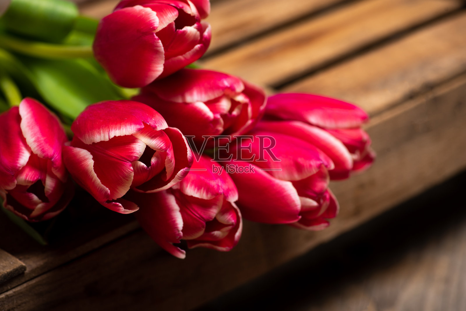 红色郁金香插花平铺在一张木桌上照片摄影图片