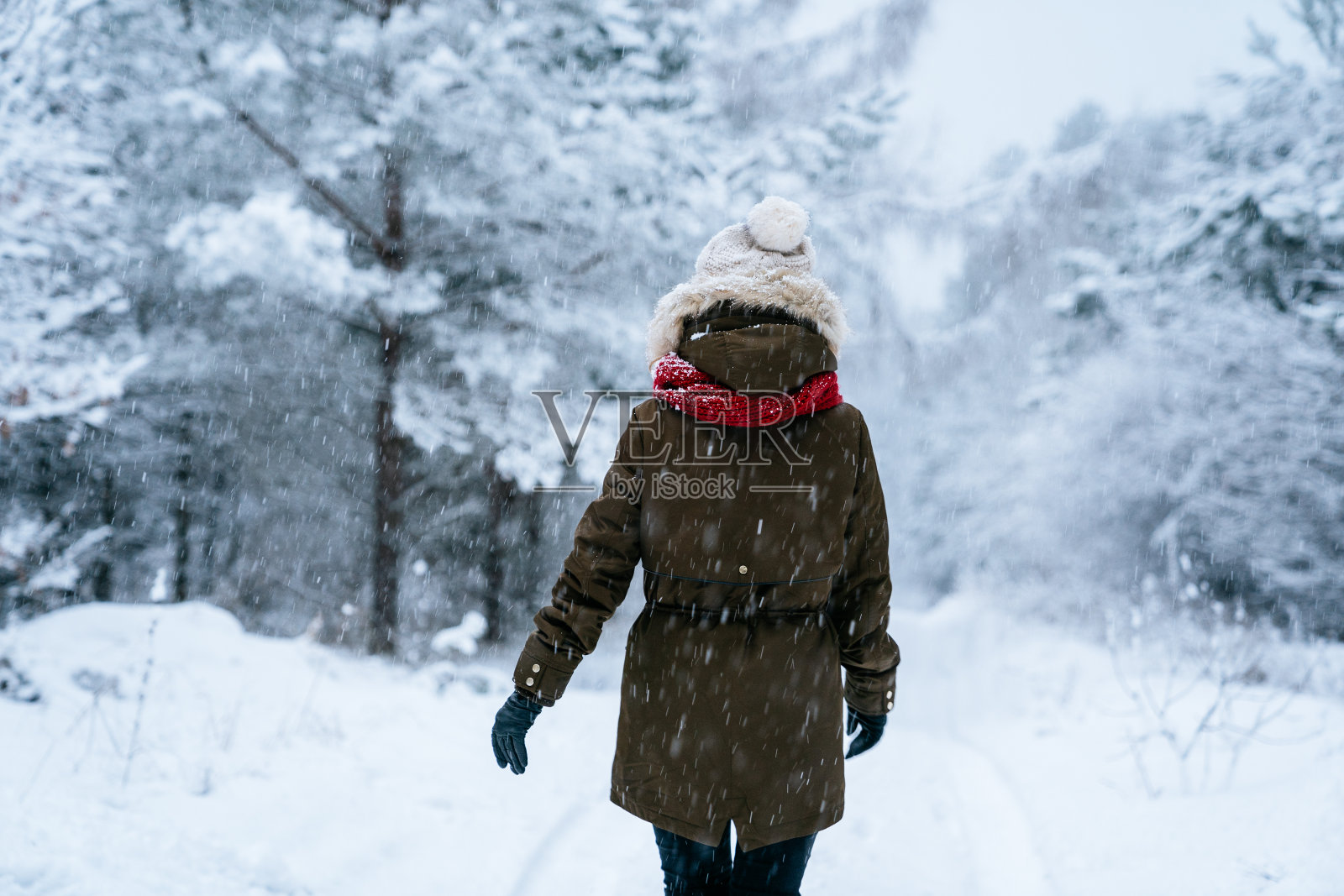 在冬天的森林里行走的女人。照片摄影图片