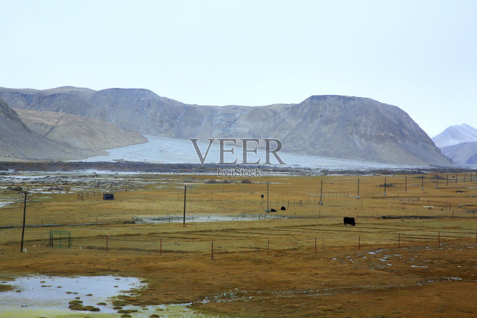 中国新疆,“美”照片摄影图片