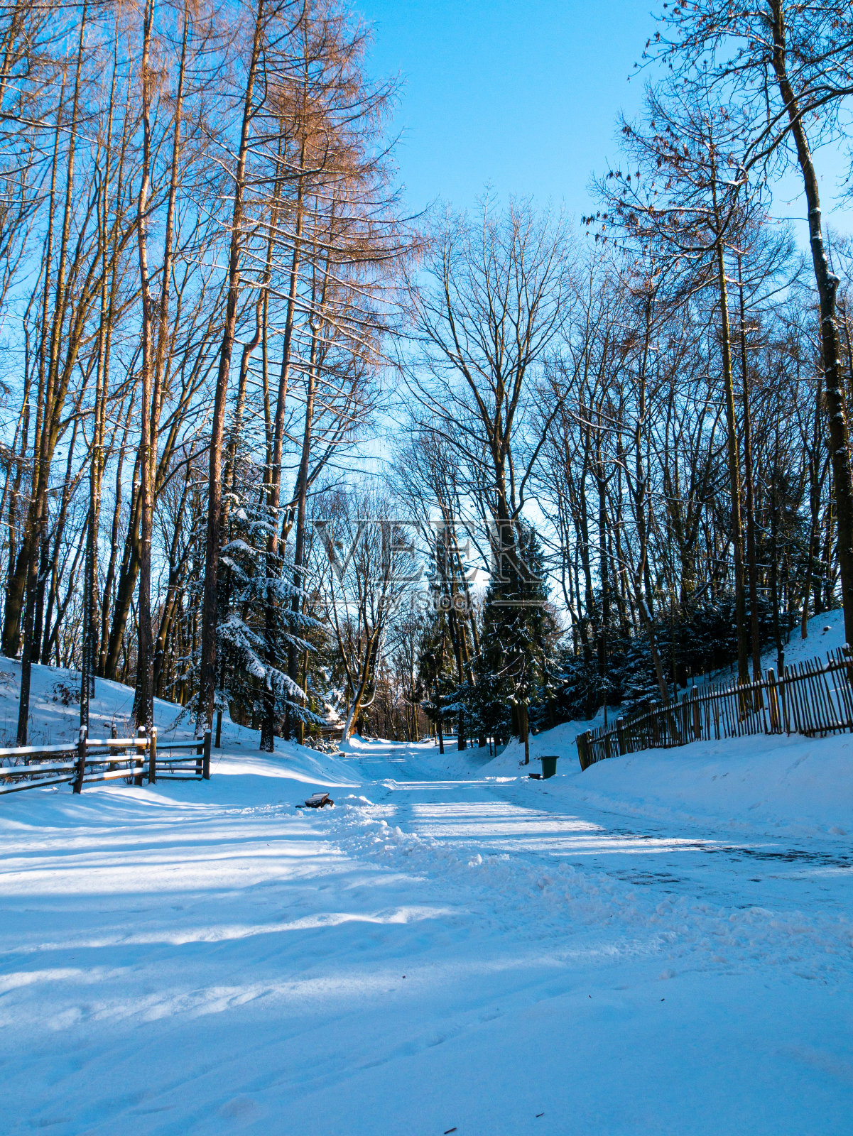 木质复古的乡村别墅在山上森林覆盖着白雪的自然景观。积极的休息。白雪皑皑的冬季假期。照片摄影图片
