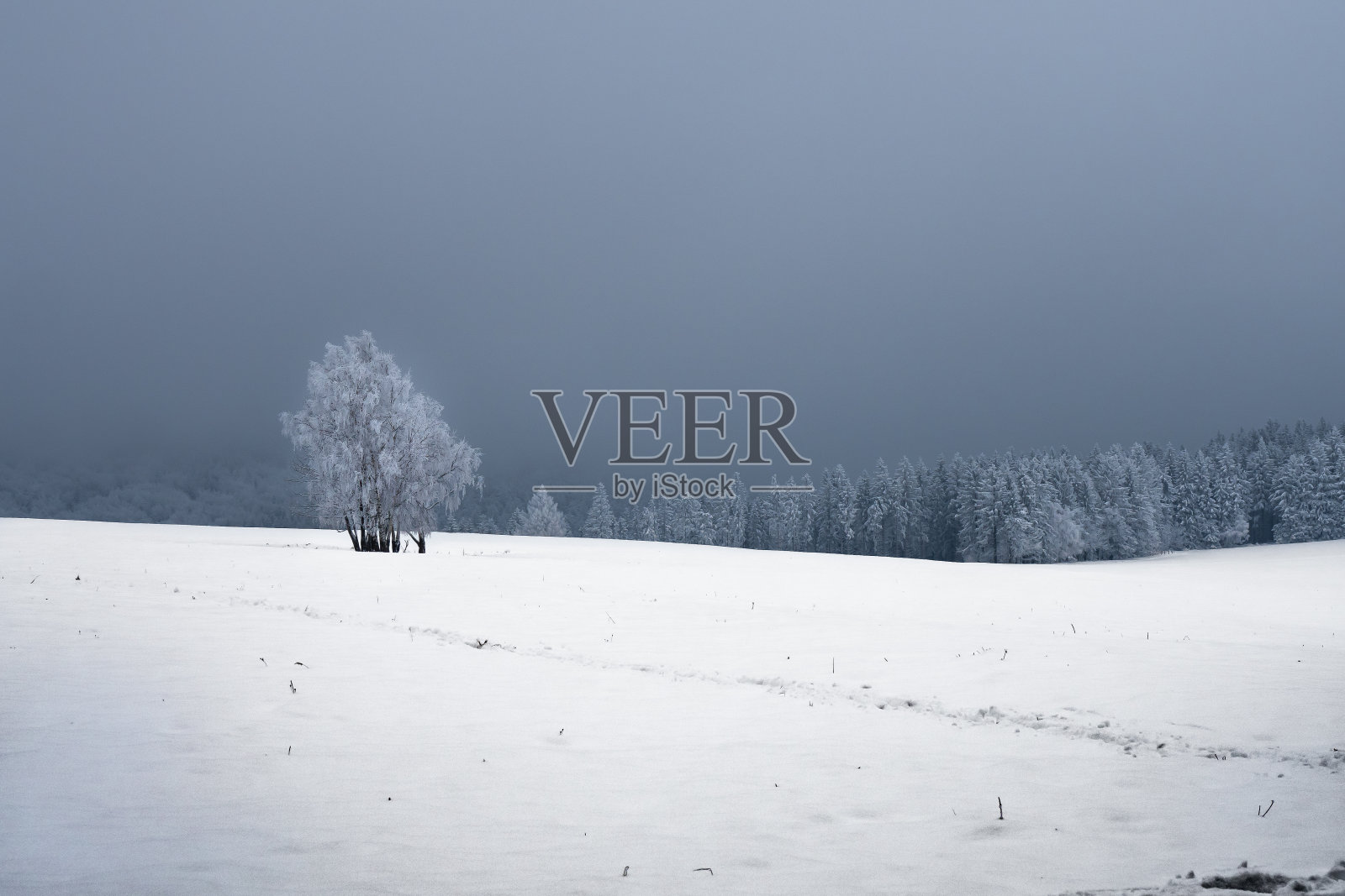 雪山里冬天雾气蒙蒙的景色照片摄影图片