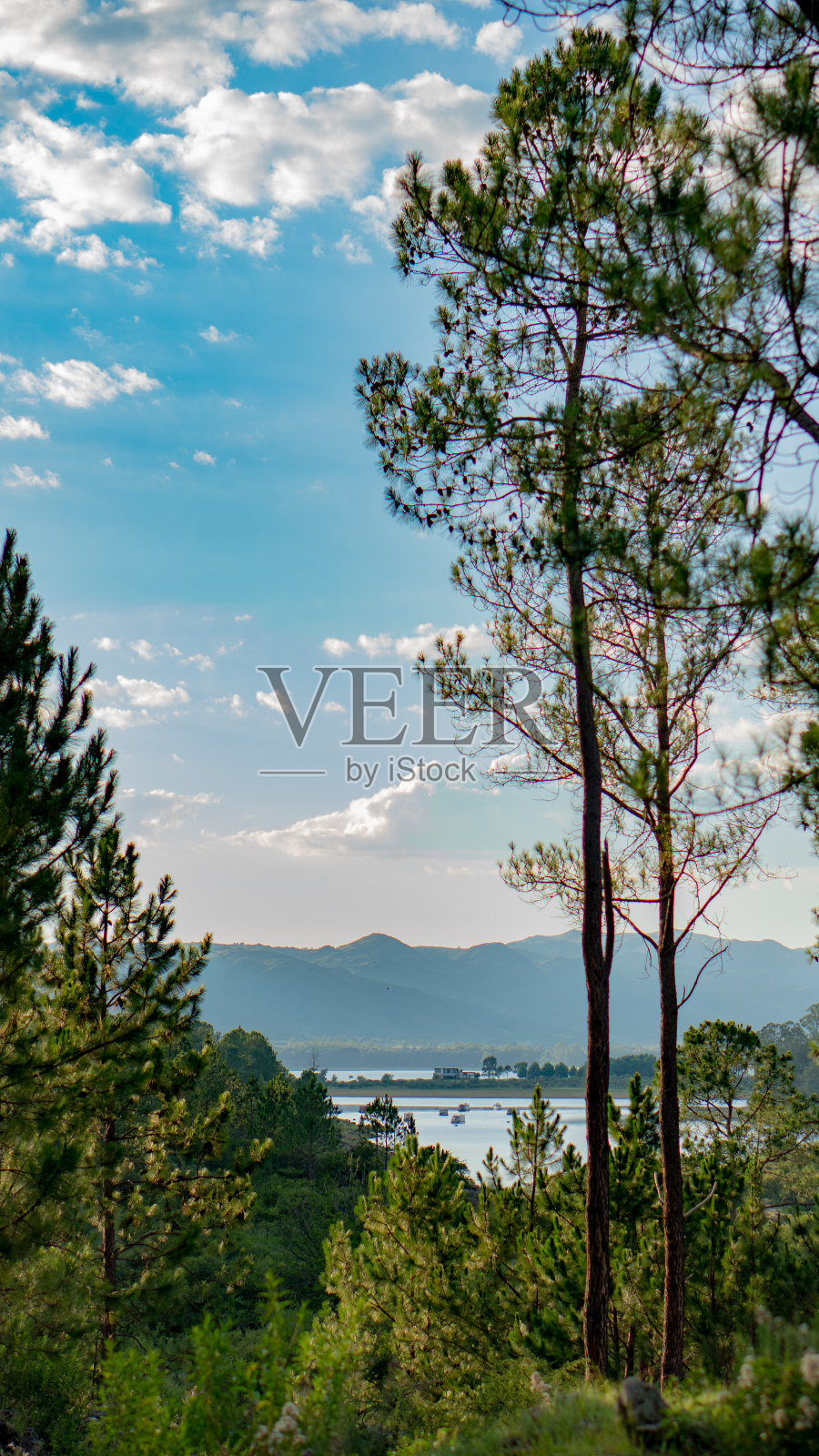 湖的一边照片摄影图片