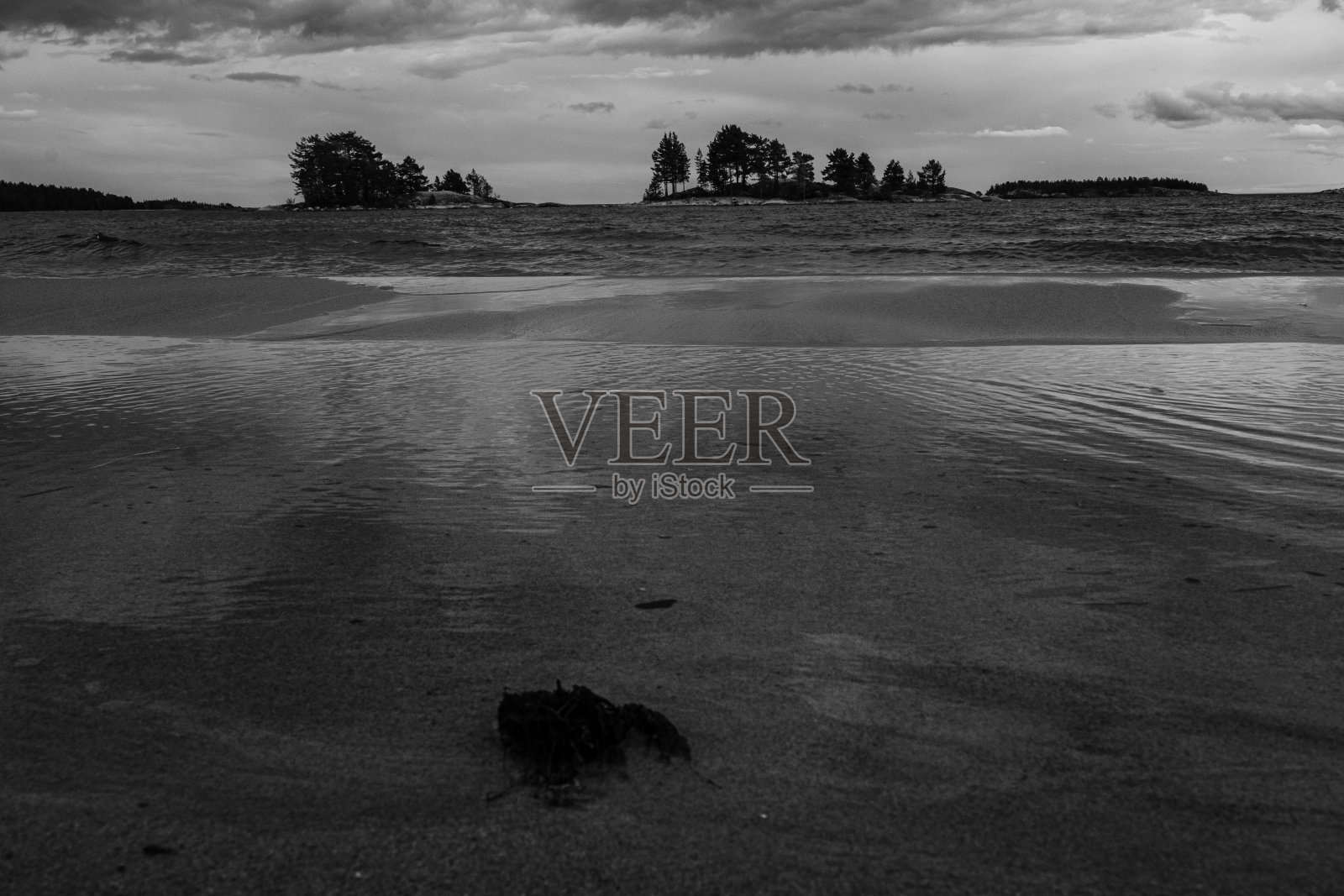 北沙滩。俄罗斯，卡累利阿，拉多加湖，科戎萨里照片摄影图片