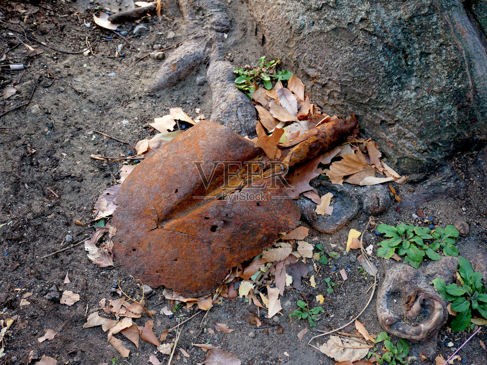 生锈的铲照片摄影图片