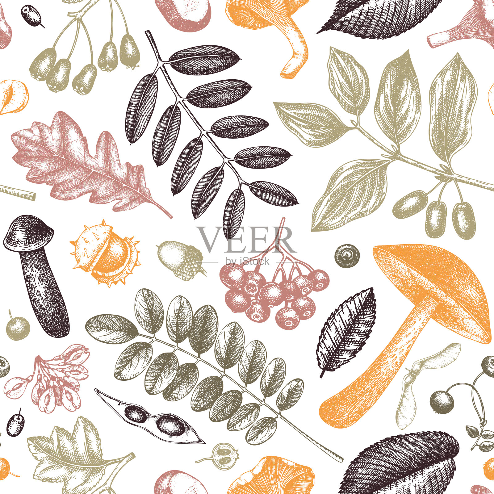 手绘秋植物无缝图案插画图片素材