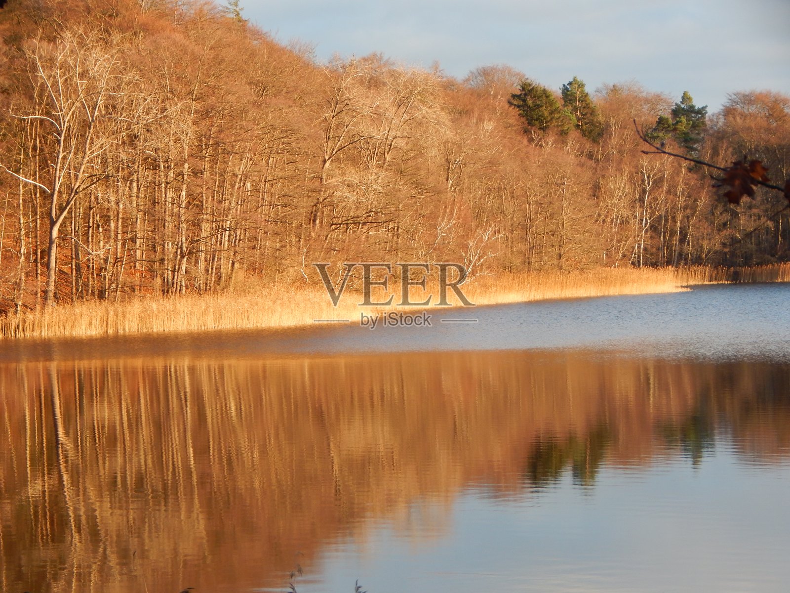 在石勒苏益格-荷尔斯泰因州西多夫附近的湖上散步Küchensee照片摄影图片