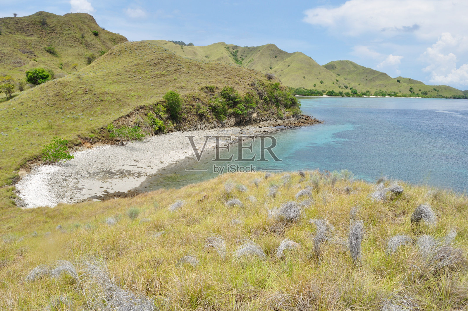 印度尼西亚努沙登加拉铁木尔弗洛雷斯岛的热带海滩，叫做粉红海滩。照片摄影图片