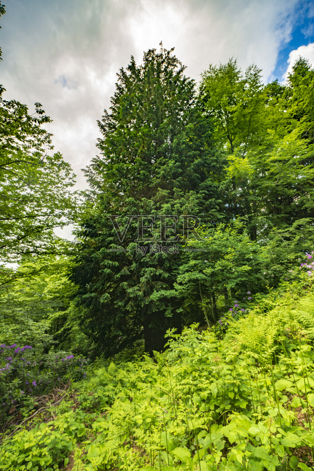 自然奇观高原照片摄影图片