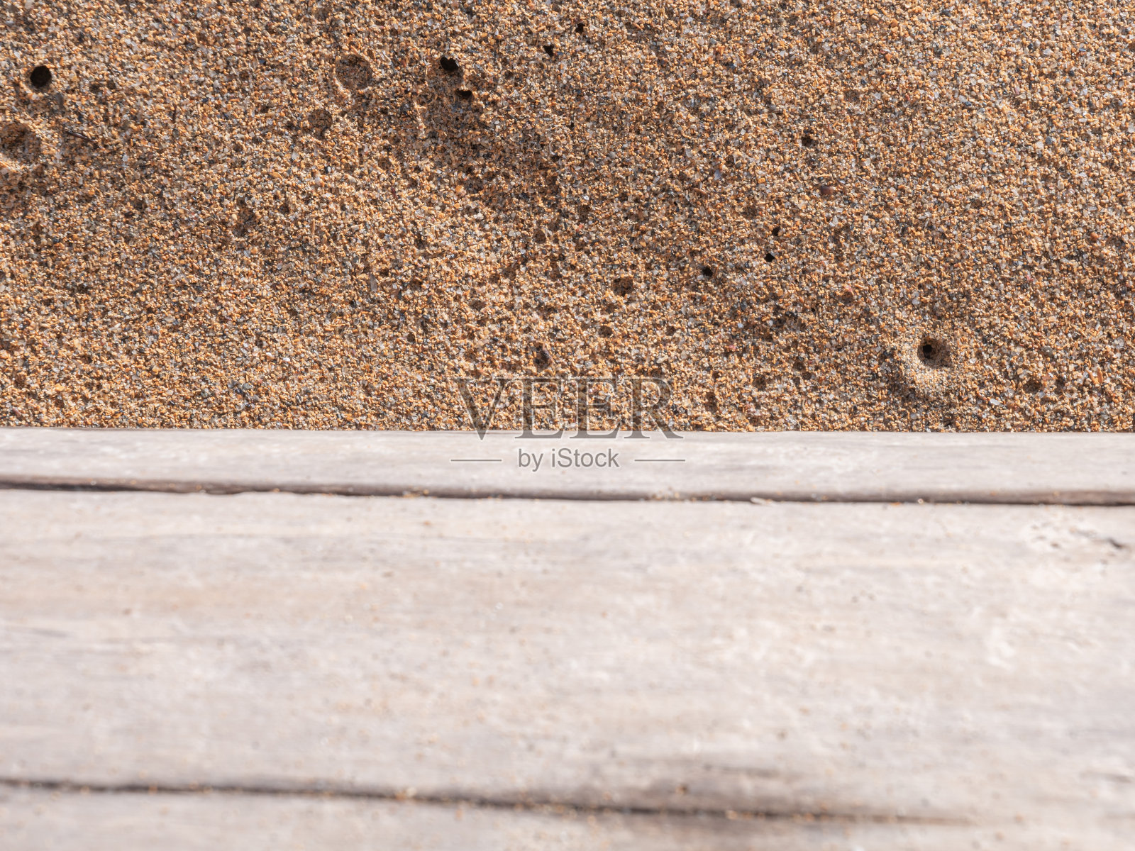 树干细节照片摄影图片