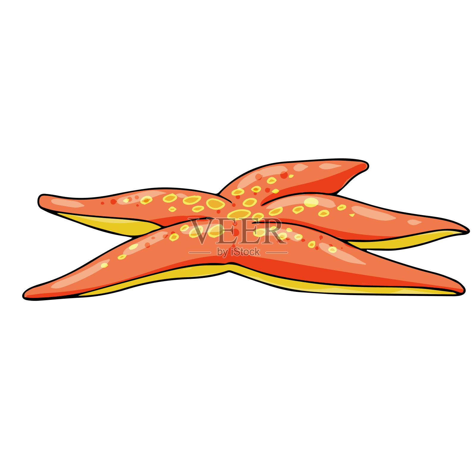 一套海洋动物的颜色卡通网页和移动设计。矢量插图孤立在白色背景。海星插画图片素材