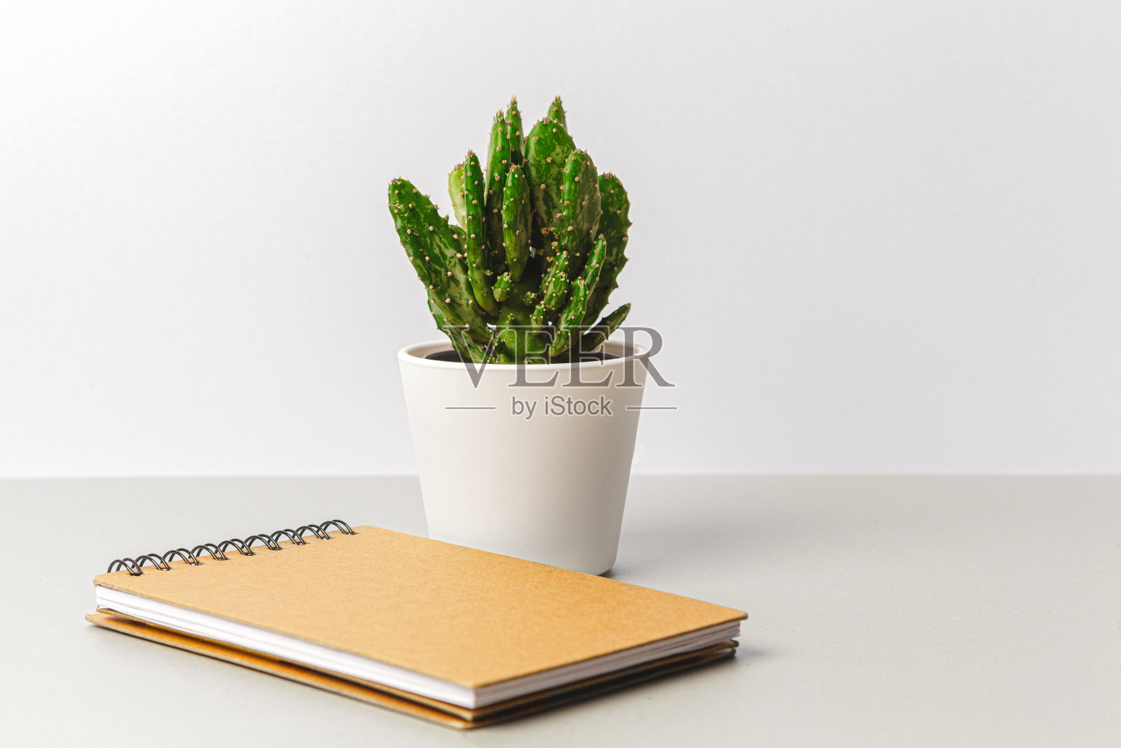 迷你盆栽仙人掌与牛皮纸记事本照片摄影图片