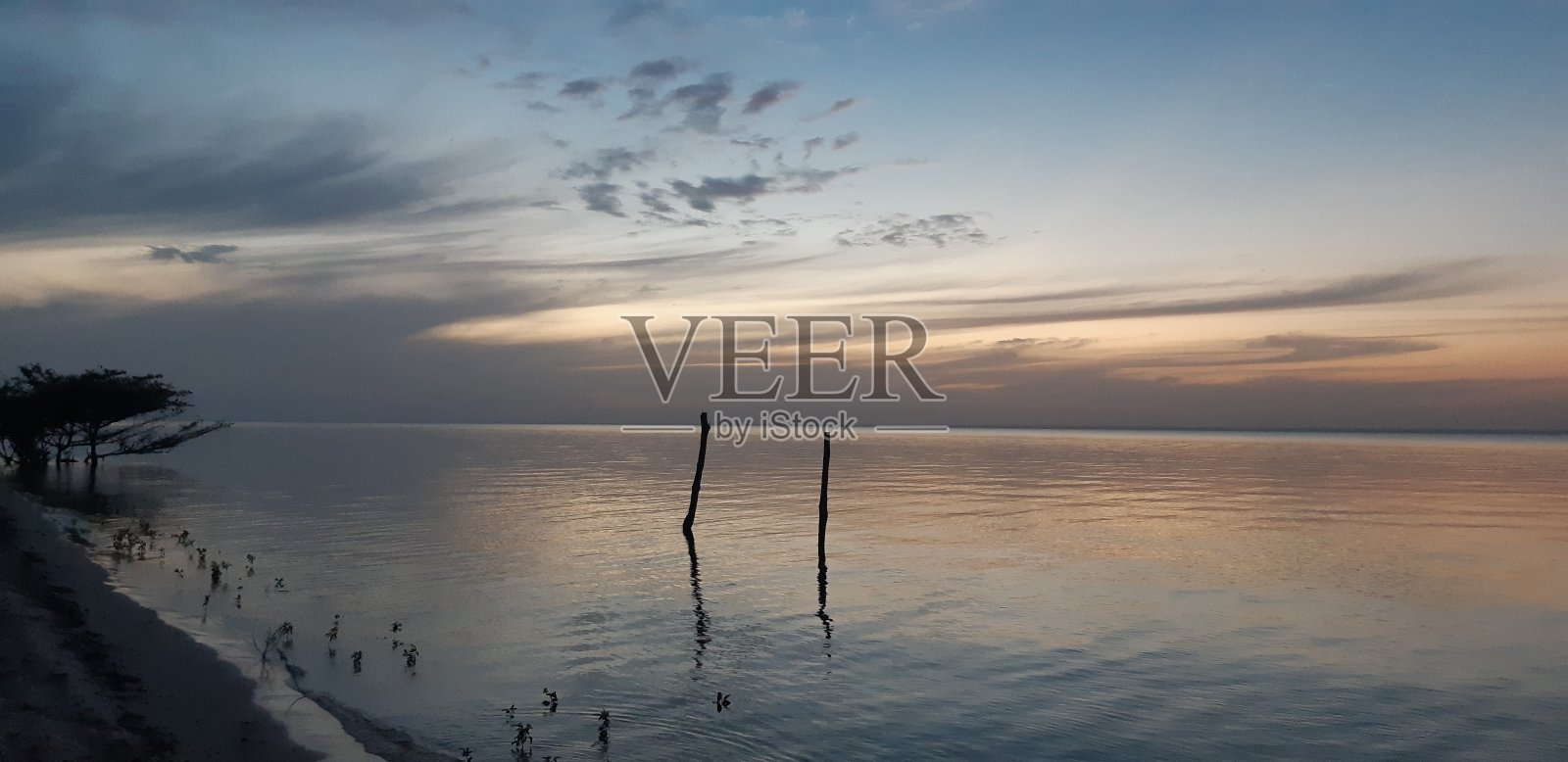 天然美女照片摄影图片