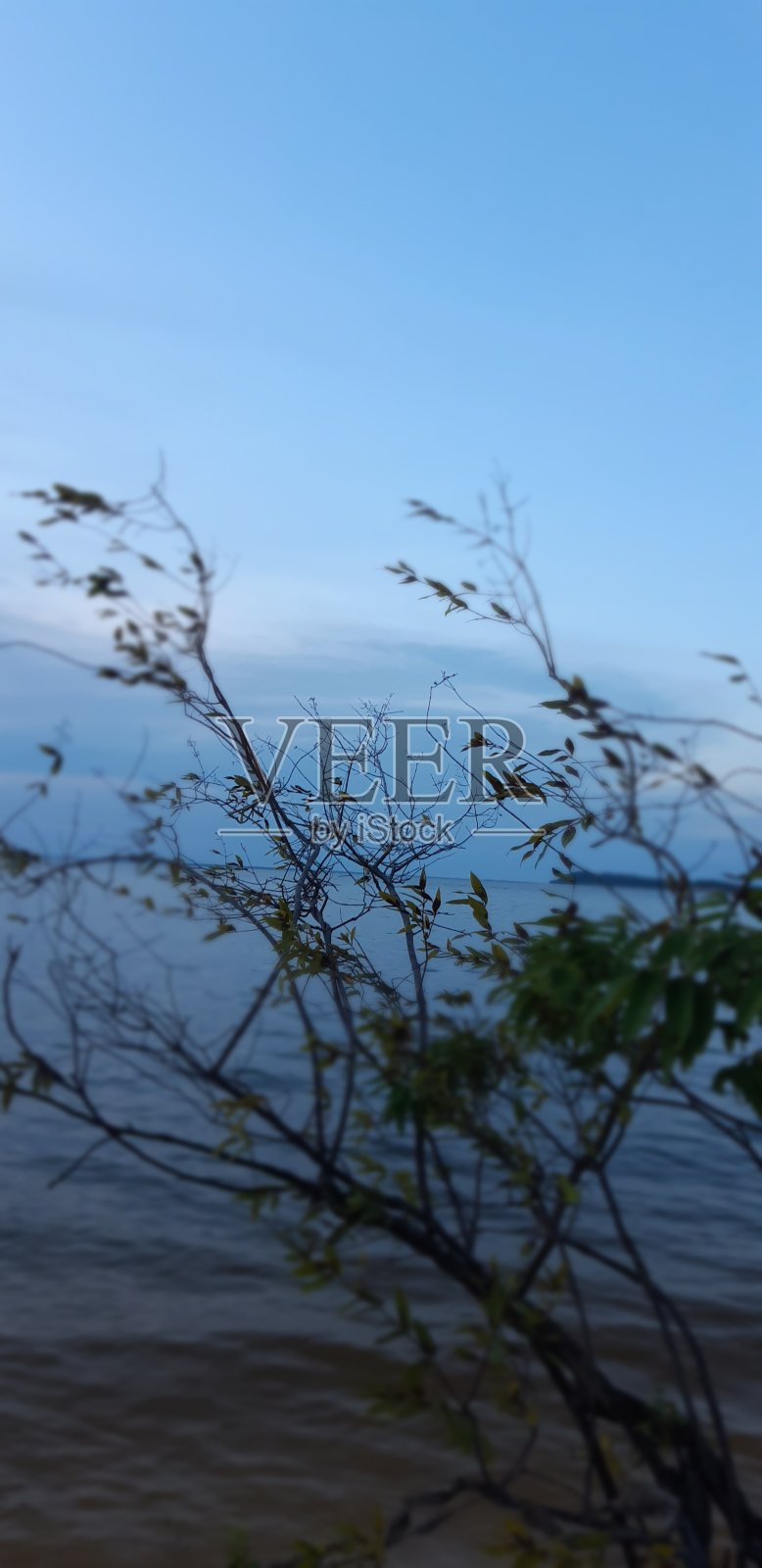 天然美女照片摄影图片