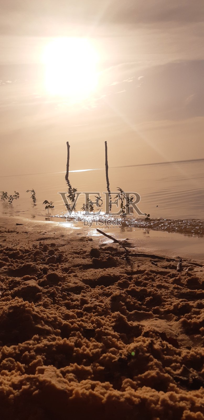 天然美女照片摄影图片