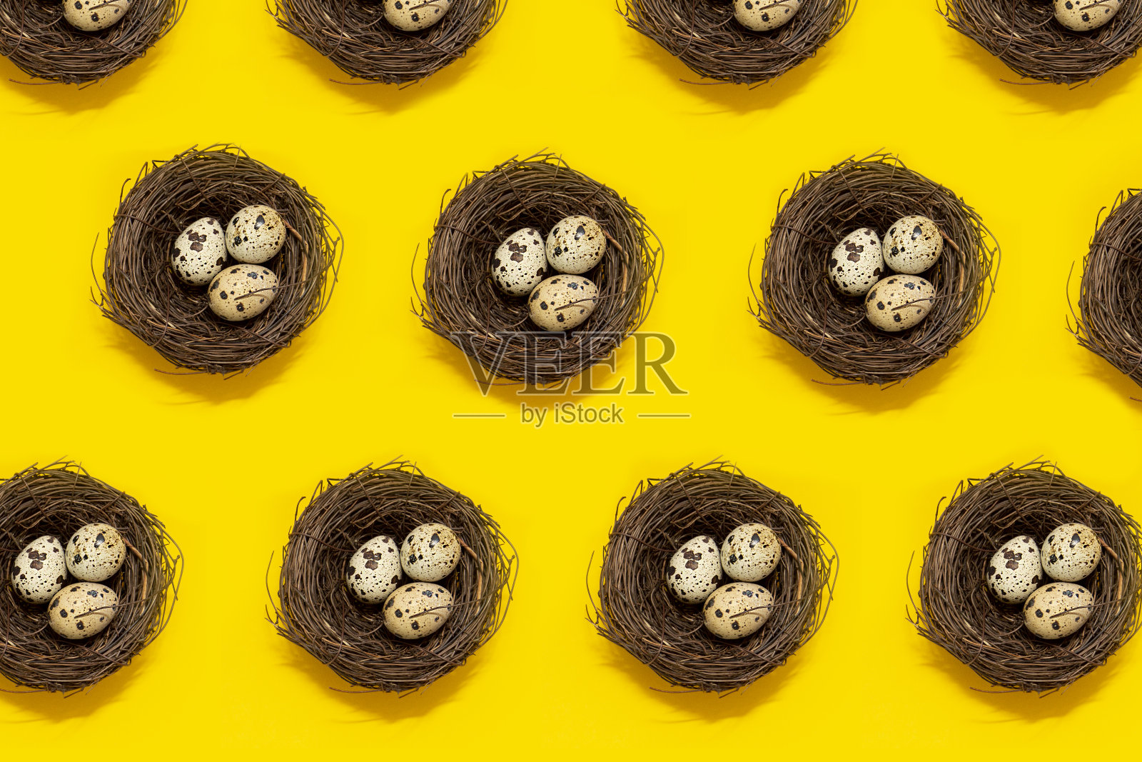 黄色背景上有鹌鹑蛋的巢图案。复活节的概念照片摄影图片
