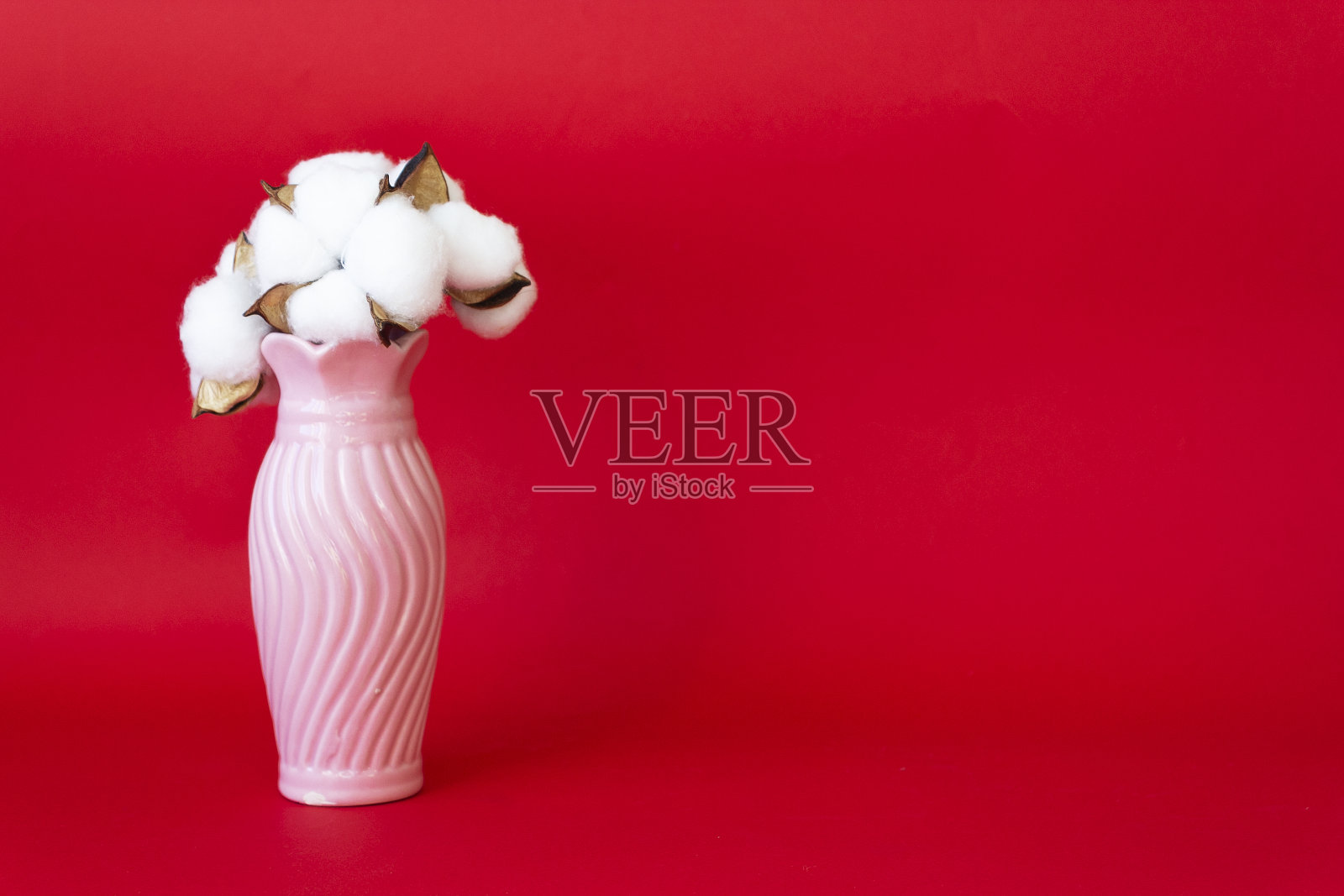 花束与白色棉花在一个粉红色的花瓶在红色的背景。写的地方照片摄影图片