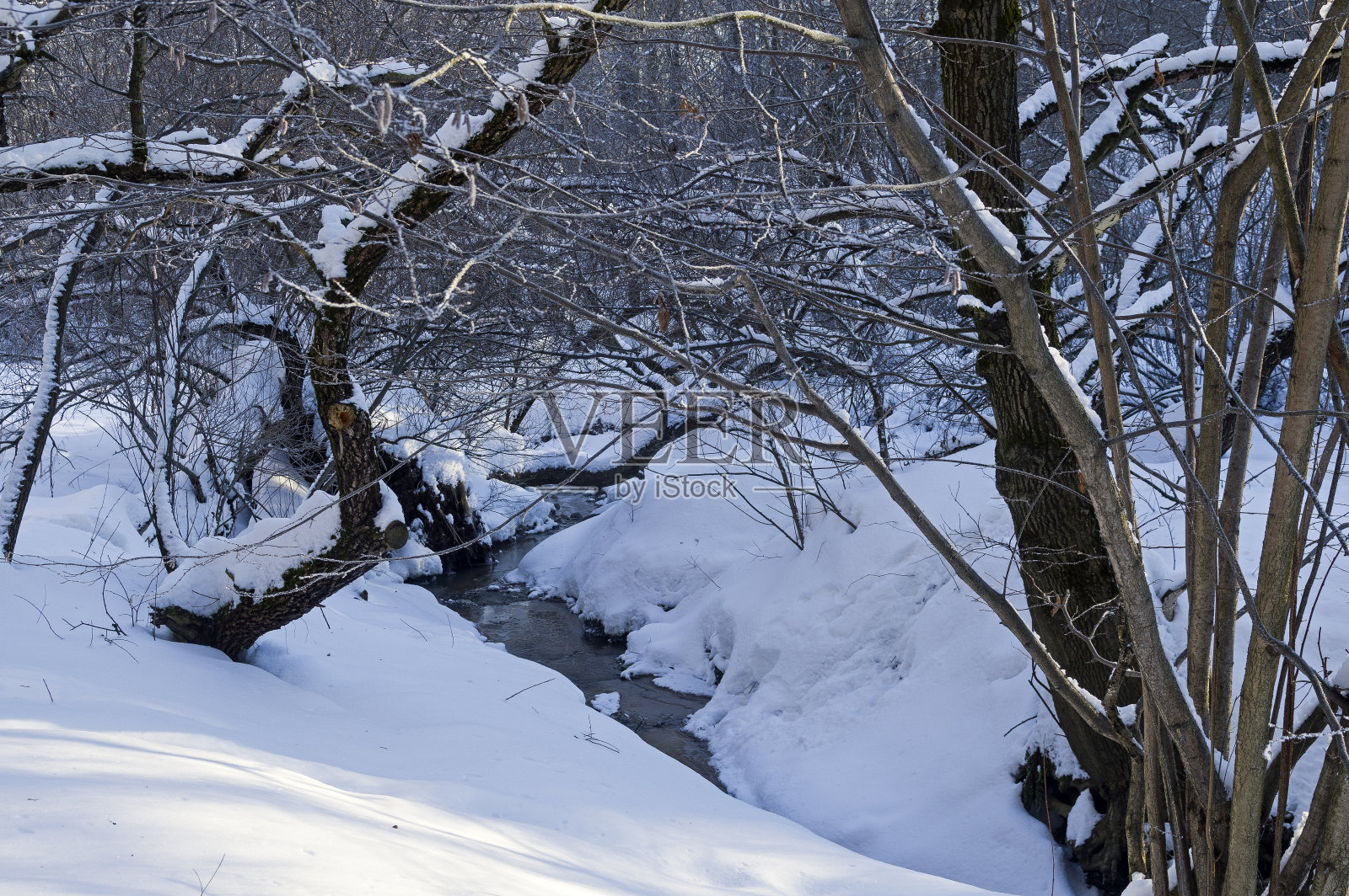 冬天森林里的小溪。照片摄影图片