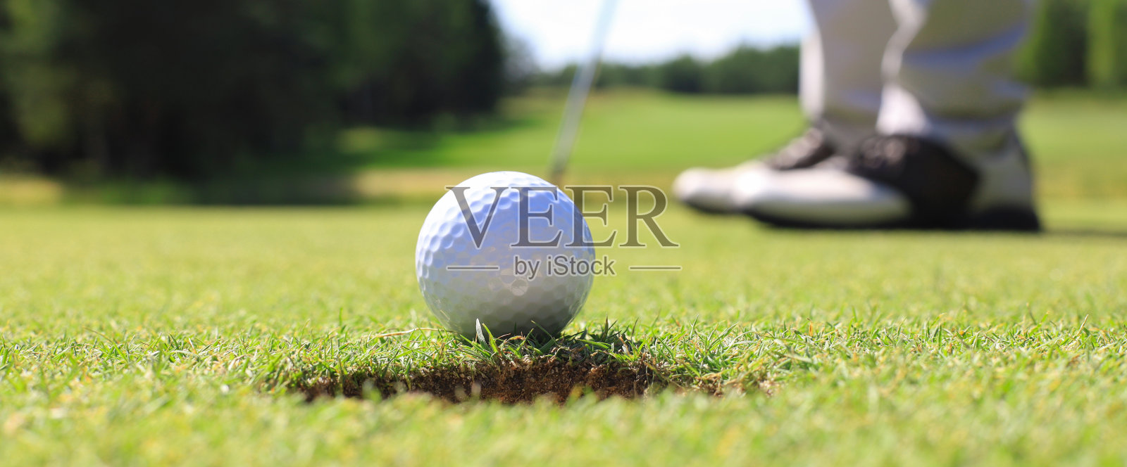 在果岭上击球的高尔夫球手。照片摄影图片