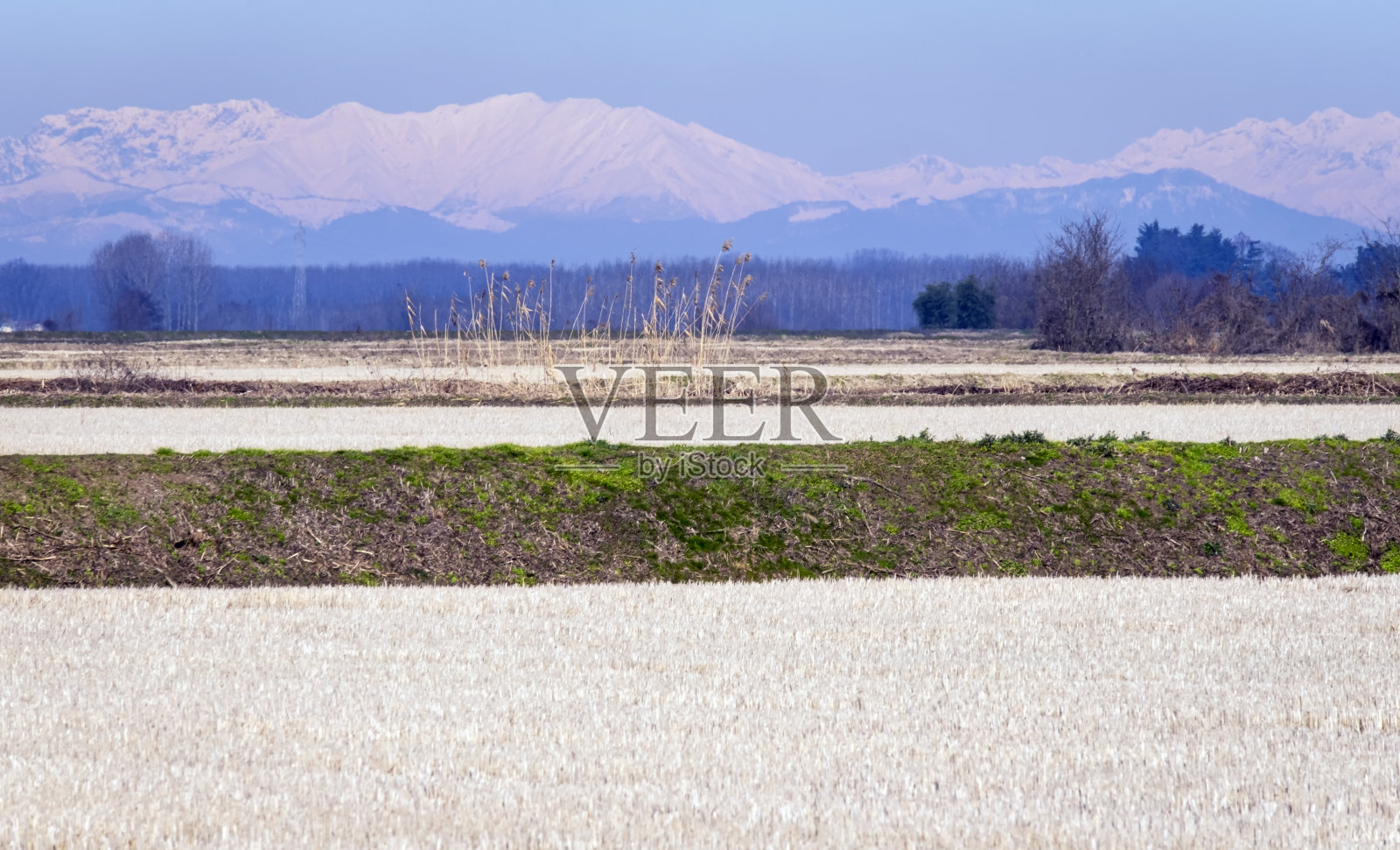 罗梅利纳乡村冬季田野全景。彩色图像照片摄影图片