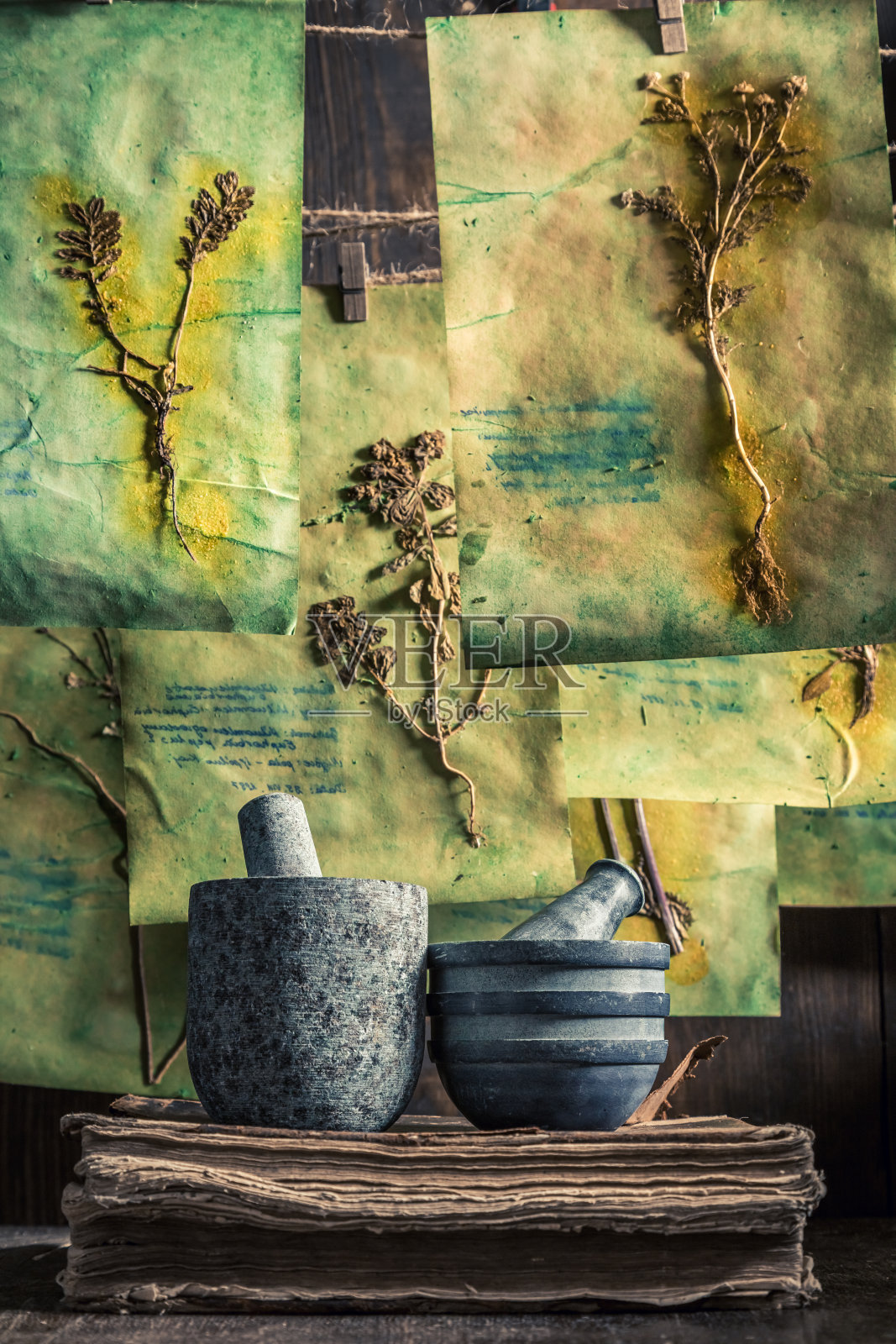 特别的草药车间与干燥的卡片说明照片摄影图片