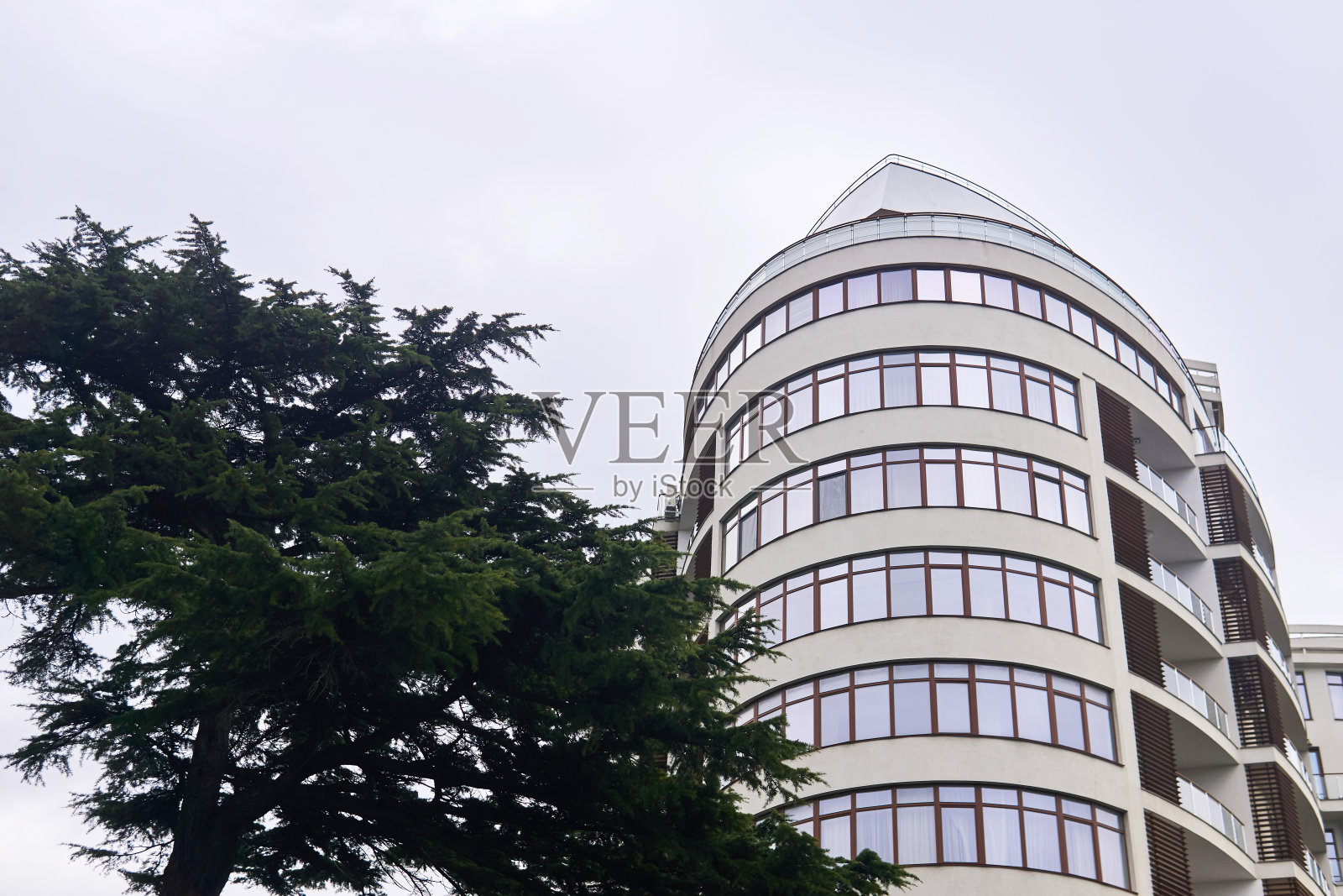 冬季云雾景观与松树和建筑“n”n照片摄影图片