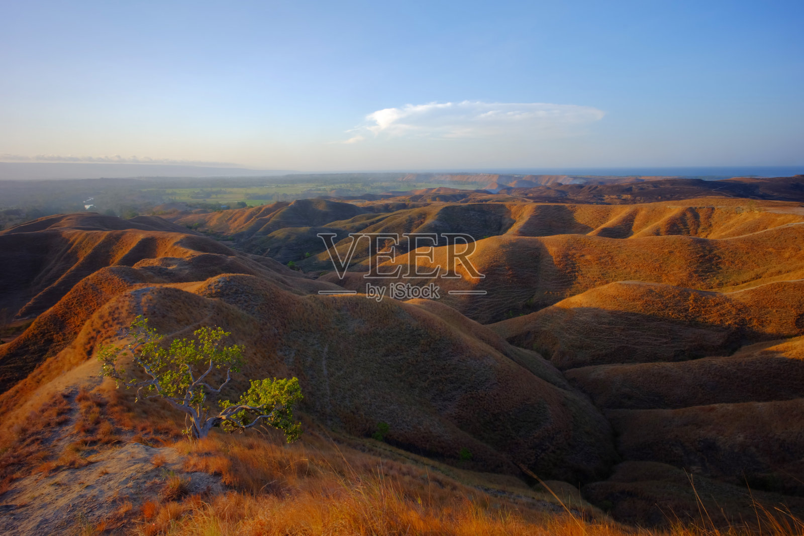 印度尼西亚东努萨东南方Sumba岛的东Sumba或Sumba岛的景观。照片摄影图片